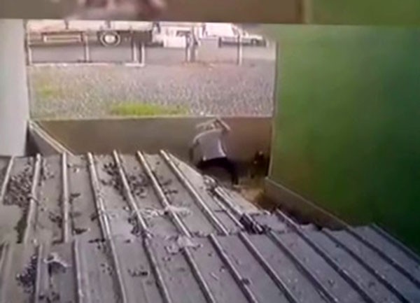 Ataşehir'de gözü dönen saldırgan köpeği sopa ile dövdü