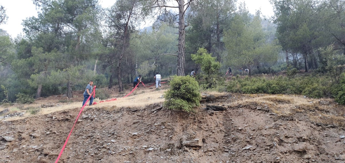 Bozdoğan’da orman yangını