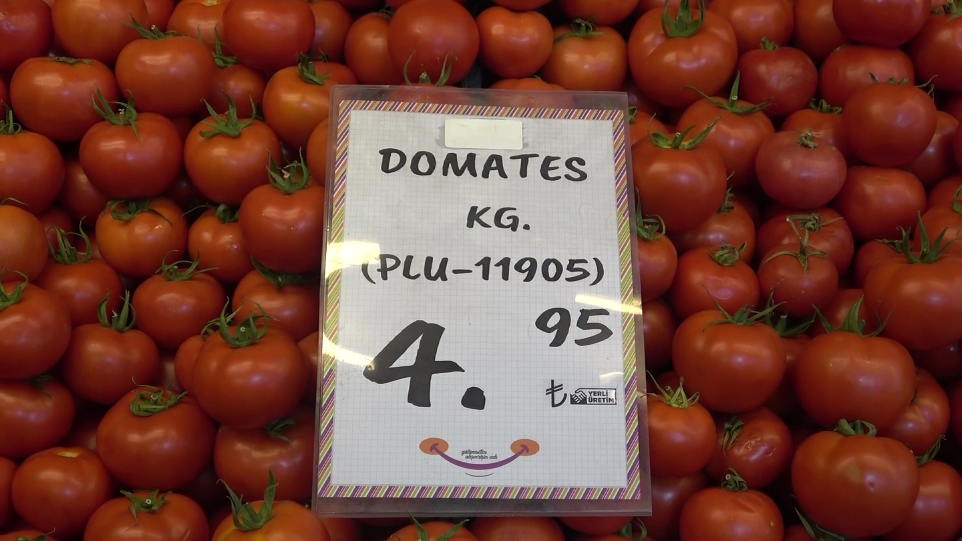 Domates tarlada 1, markette 5 lira