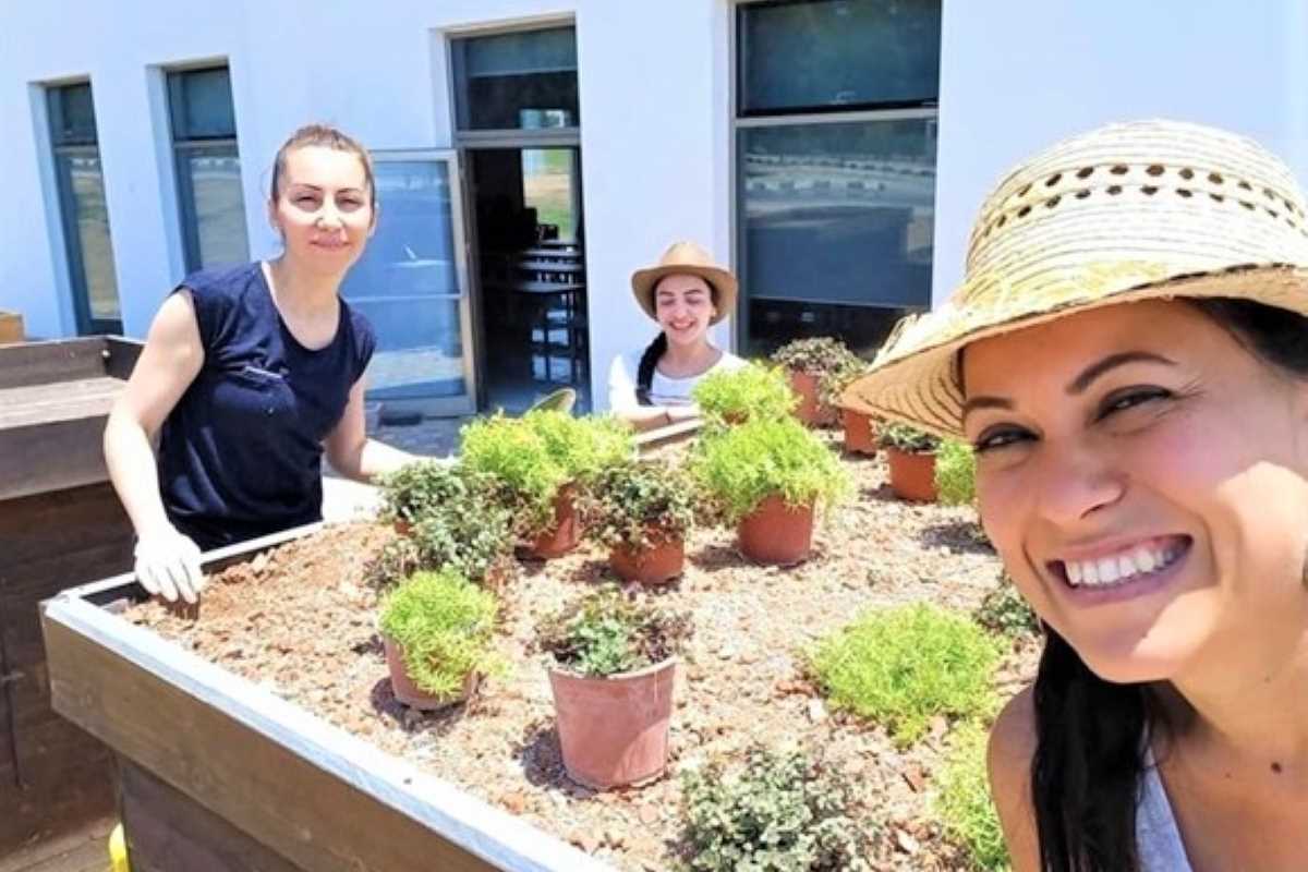 İklim koşullarına en uygun yeşil çatı tasarımları belirlenecek