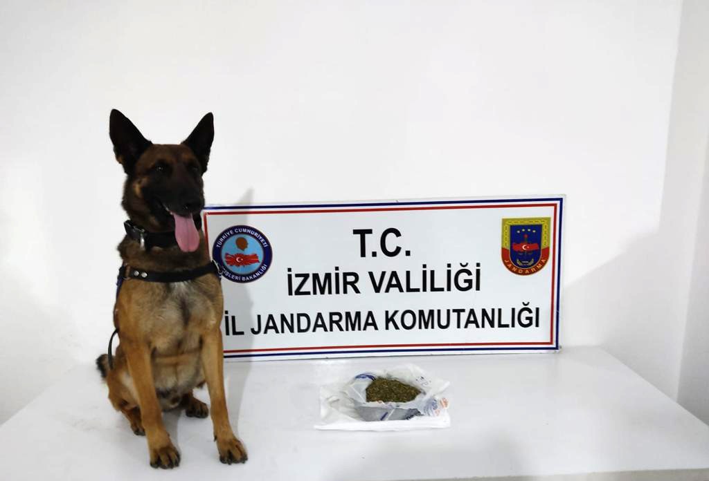 İzmir'de drone destekli uyuşturucu operasyonu: 20 gözaltı