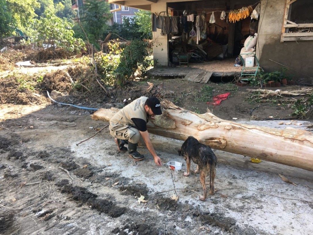 Bozkurt’ta yürekleri ısıtan görüntü