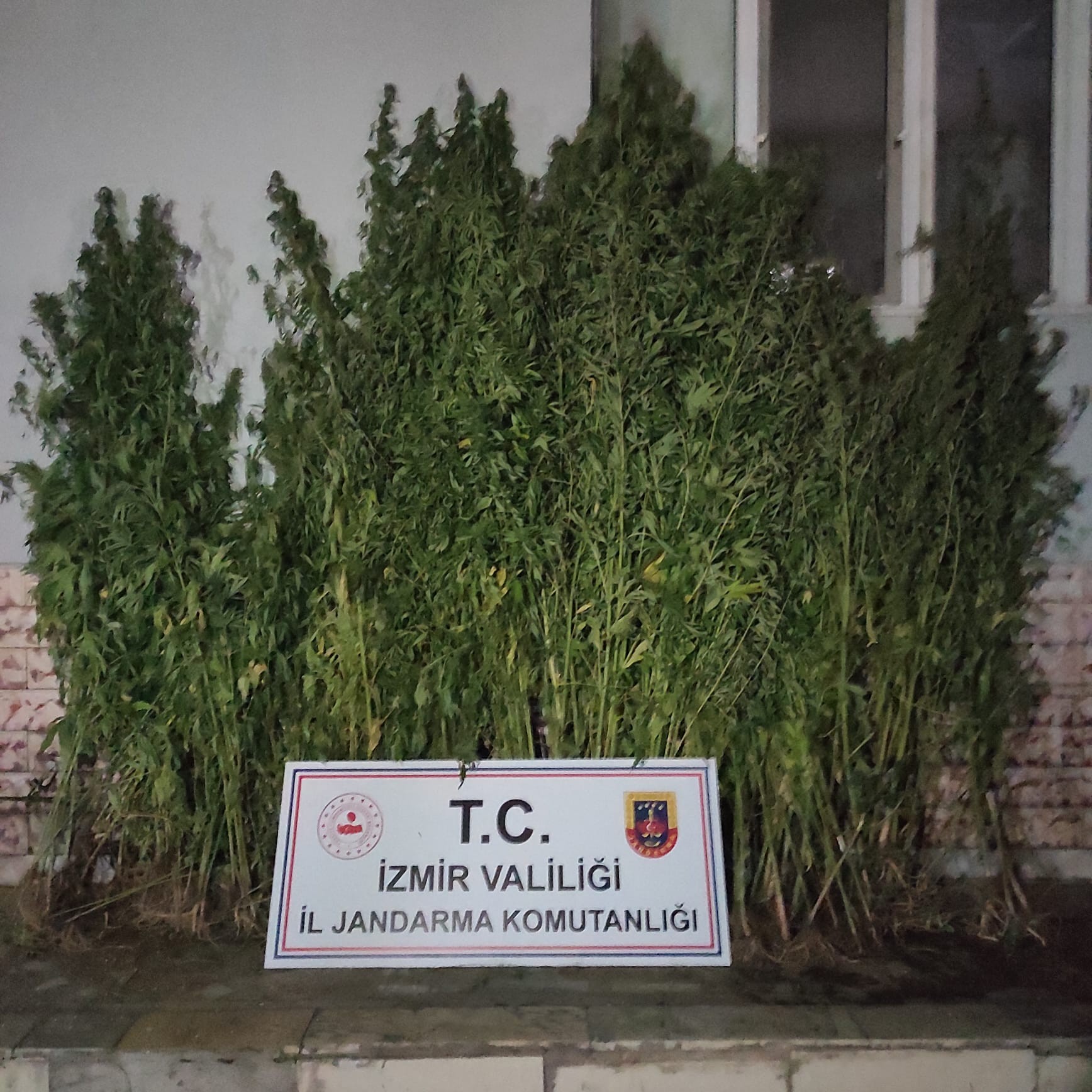 İzmir'de drone destekli uyuşturucu operasyonu: 20 gözaltı