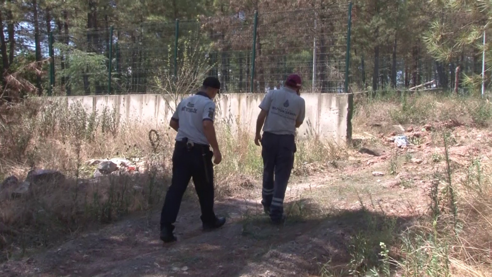 İBB Barınağındaki dehşet görüntülerin üstü kapatıldı, iş makineleri gazetecileri görünce kaçtı