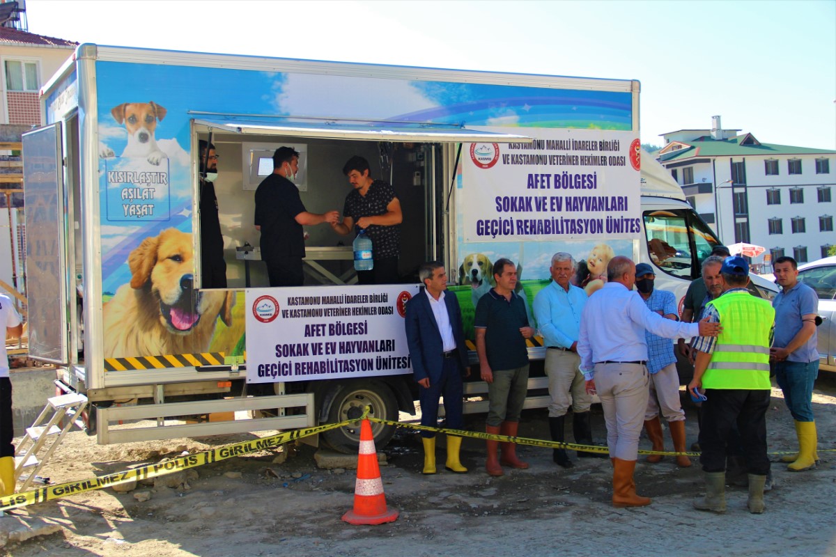 Sel bölgesinde zarar gören dilsiz canlar böyle tedavi ediliyor