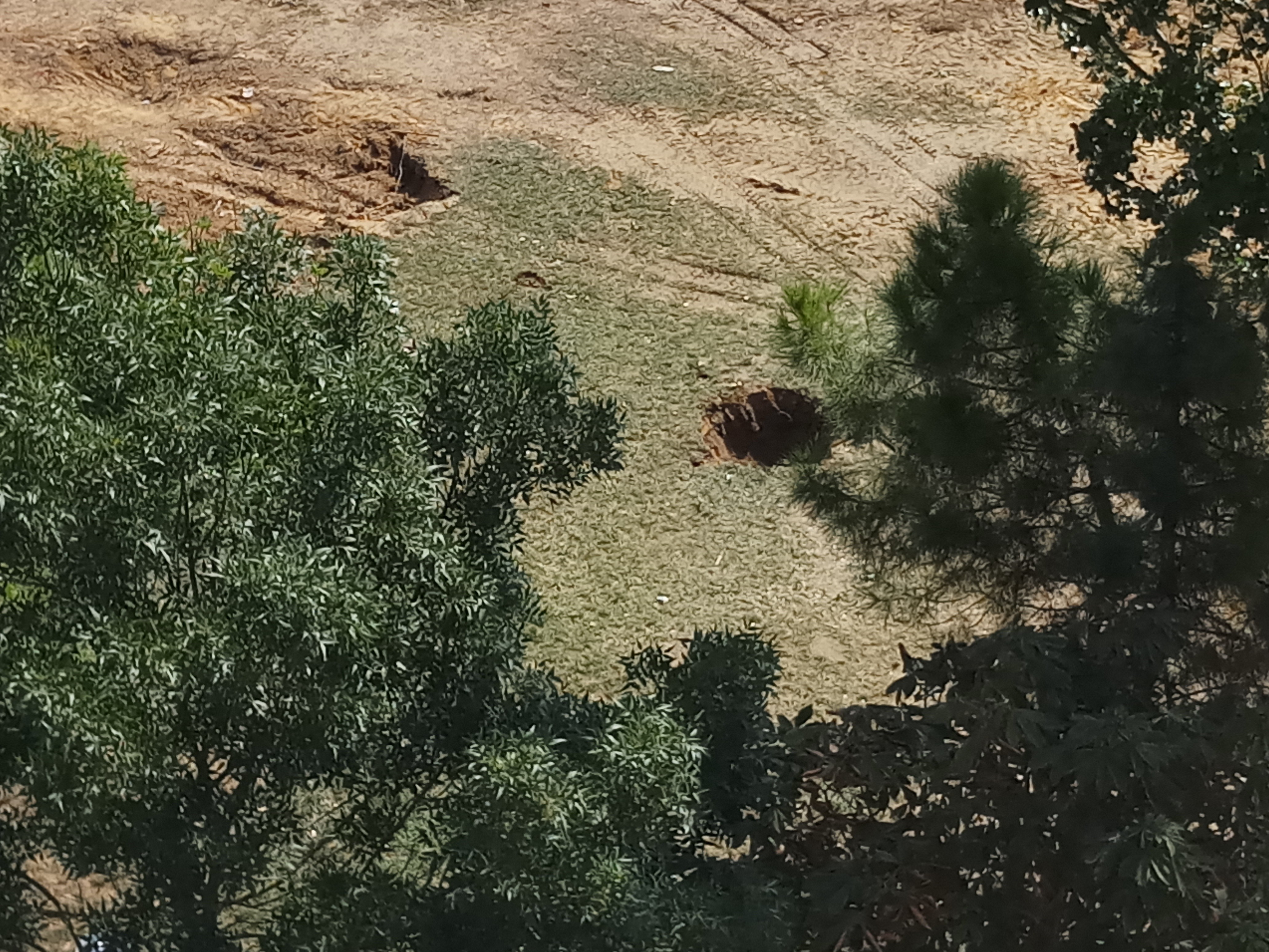 Yeşilpınar Gençlik Parkı’nın yıkımına vatandaşlardan tepki
