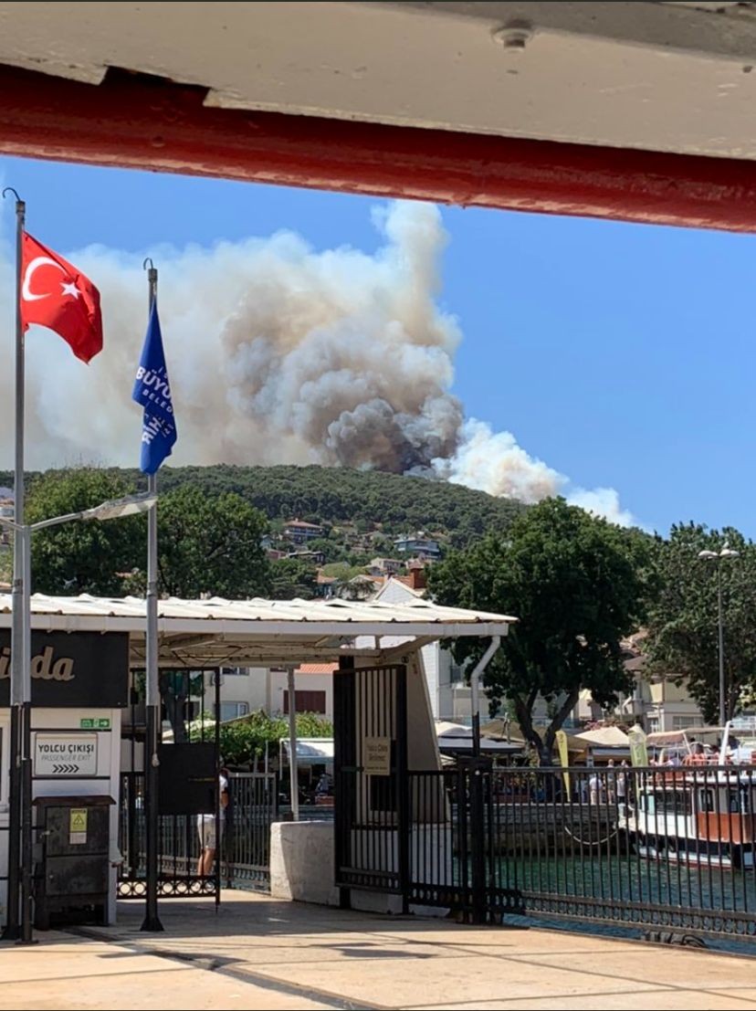 İstanbul Heybeliada’da çıkan yangın kontrol altına alındı