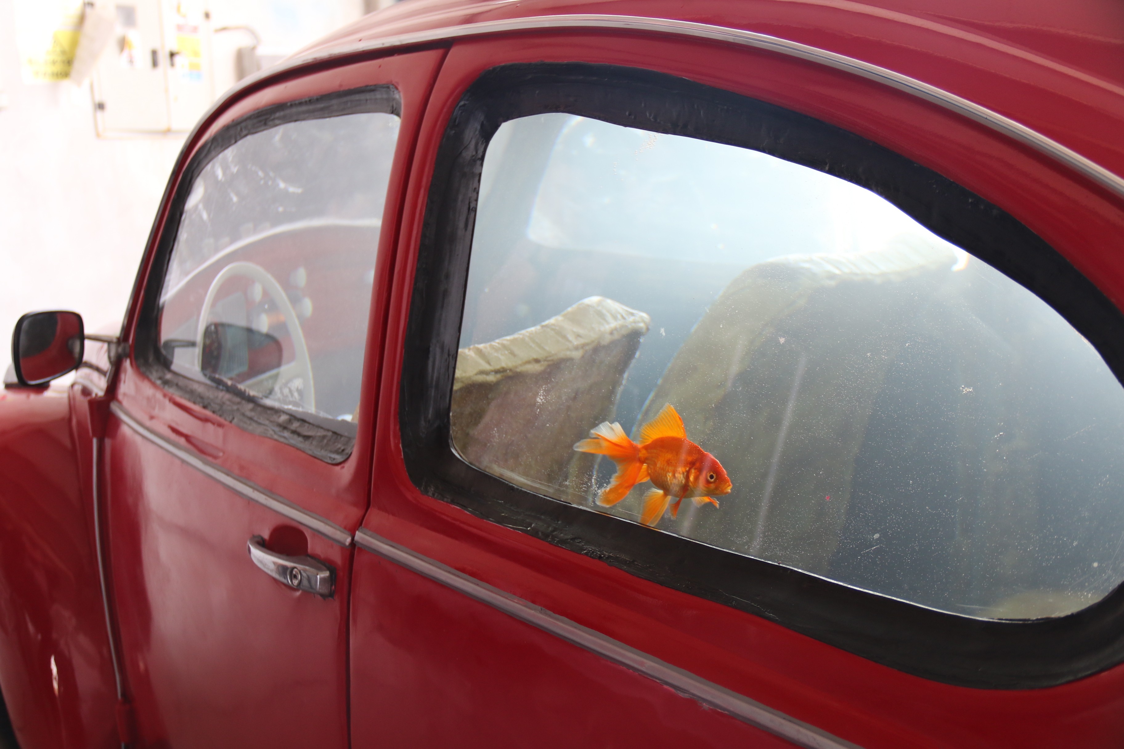 Bu akvaryum Türkiye'de tek