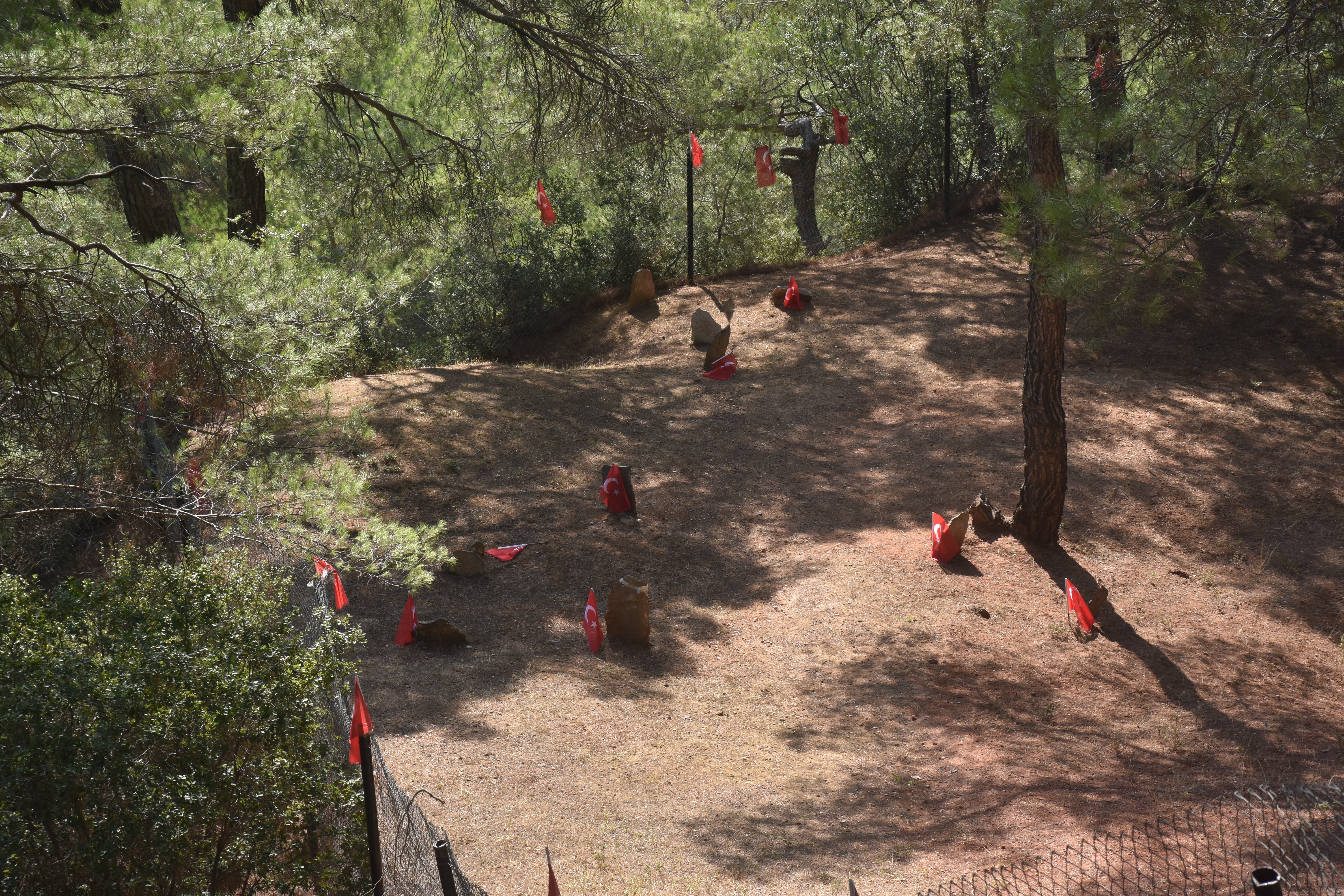 '99 yıl önce 245 masum insanı yağlı urganla bağlayıp burada kurşuna dizdiler'