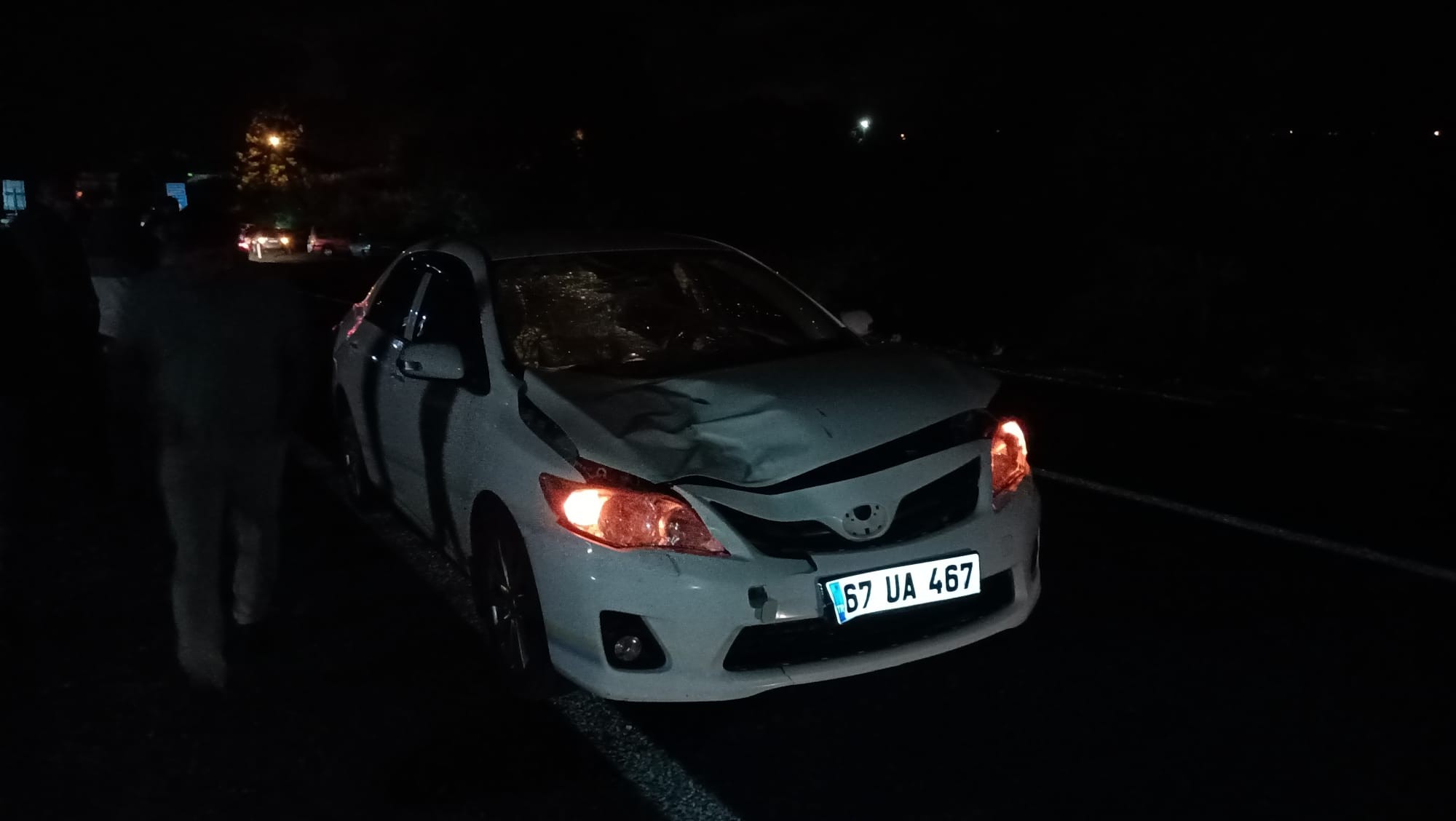 Otomobilin çarptığı 2 kardeş hayatını kaybetti