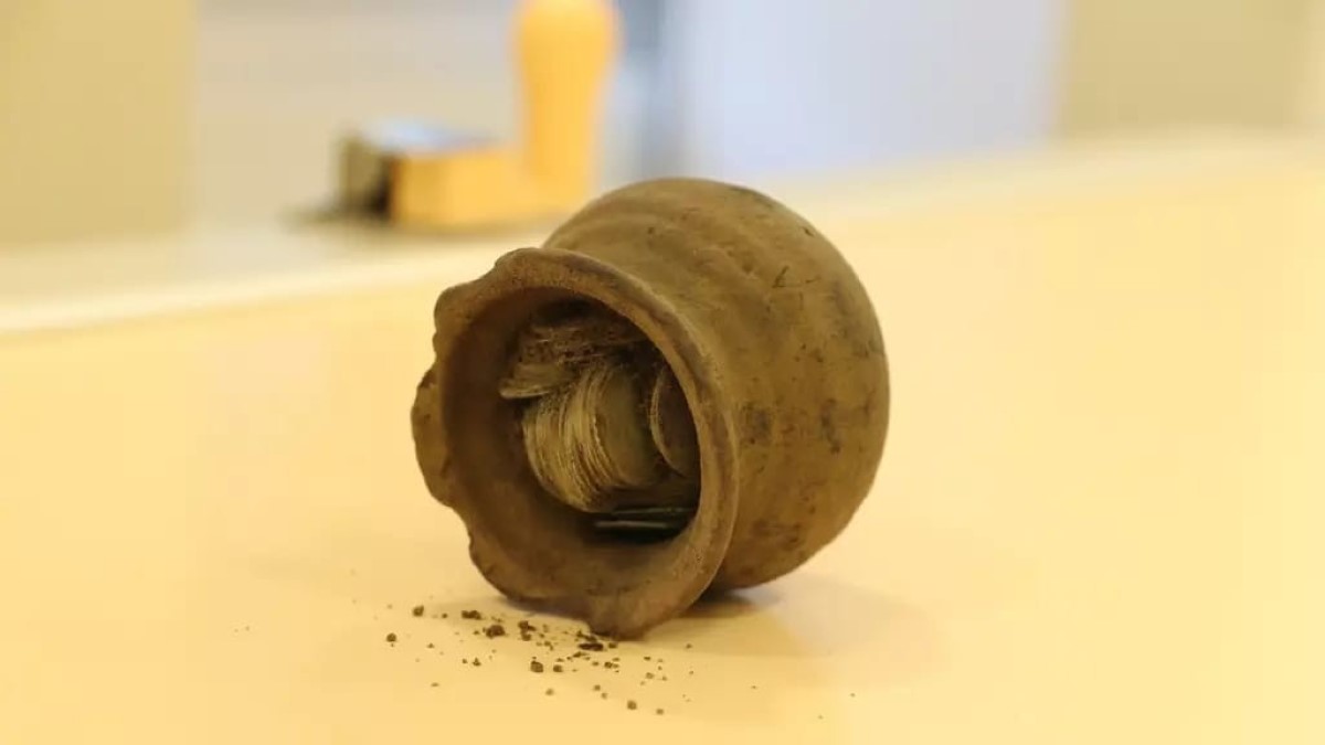 Çekya’da bir köpek 14. yüzyıldan kalma hazine buldu