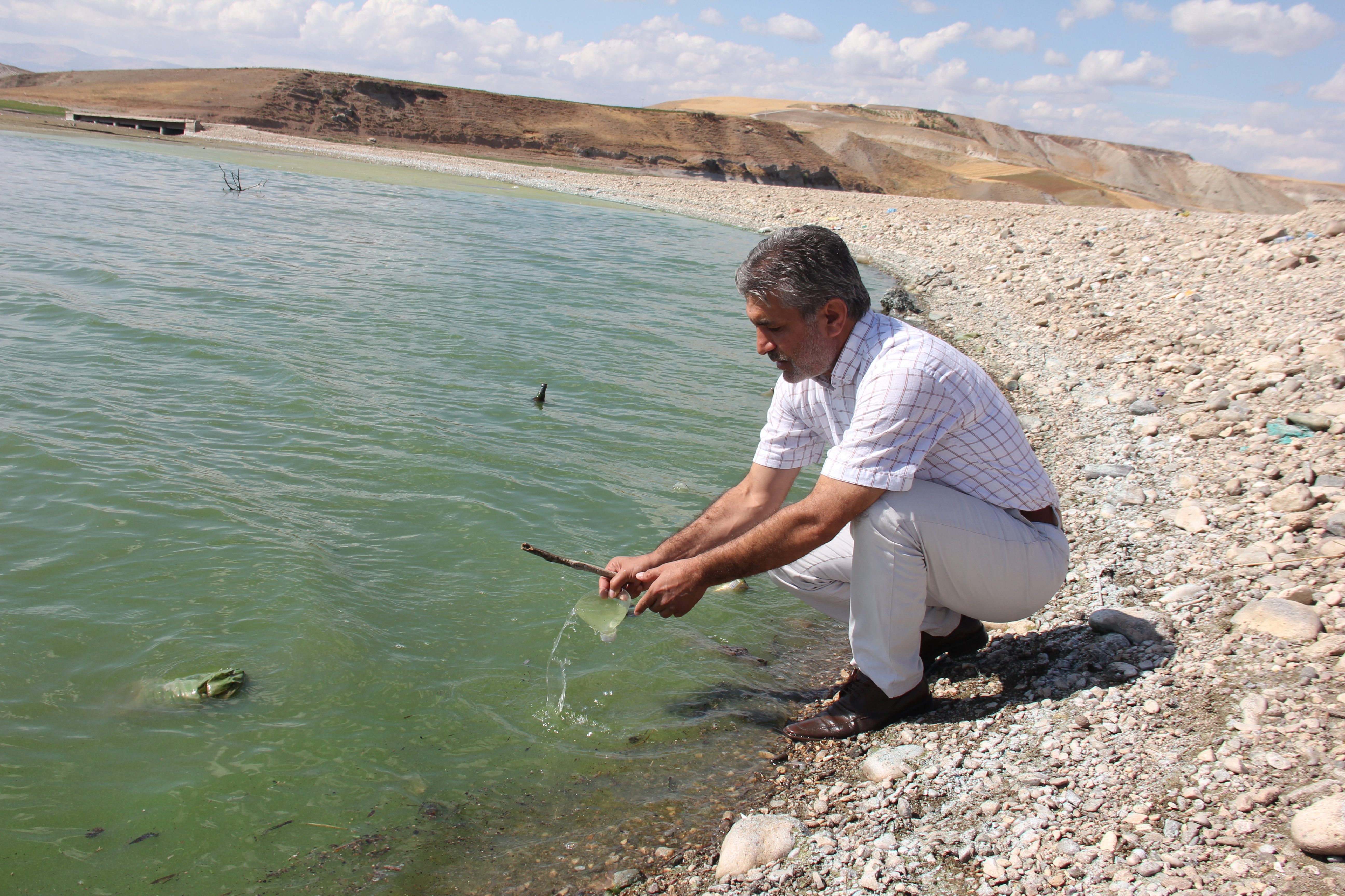 Atatürk Barajı yeşile büründü