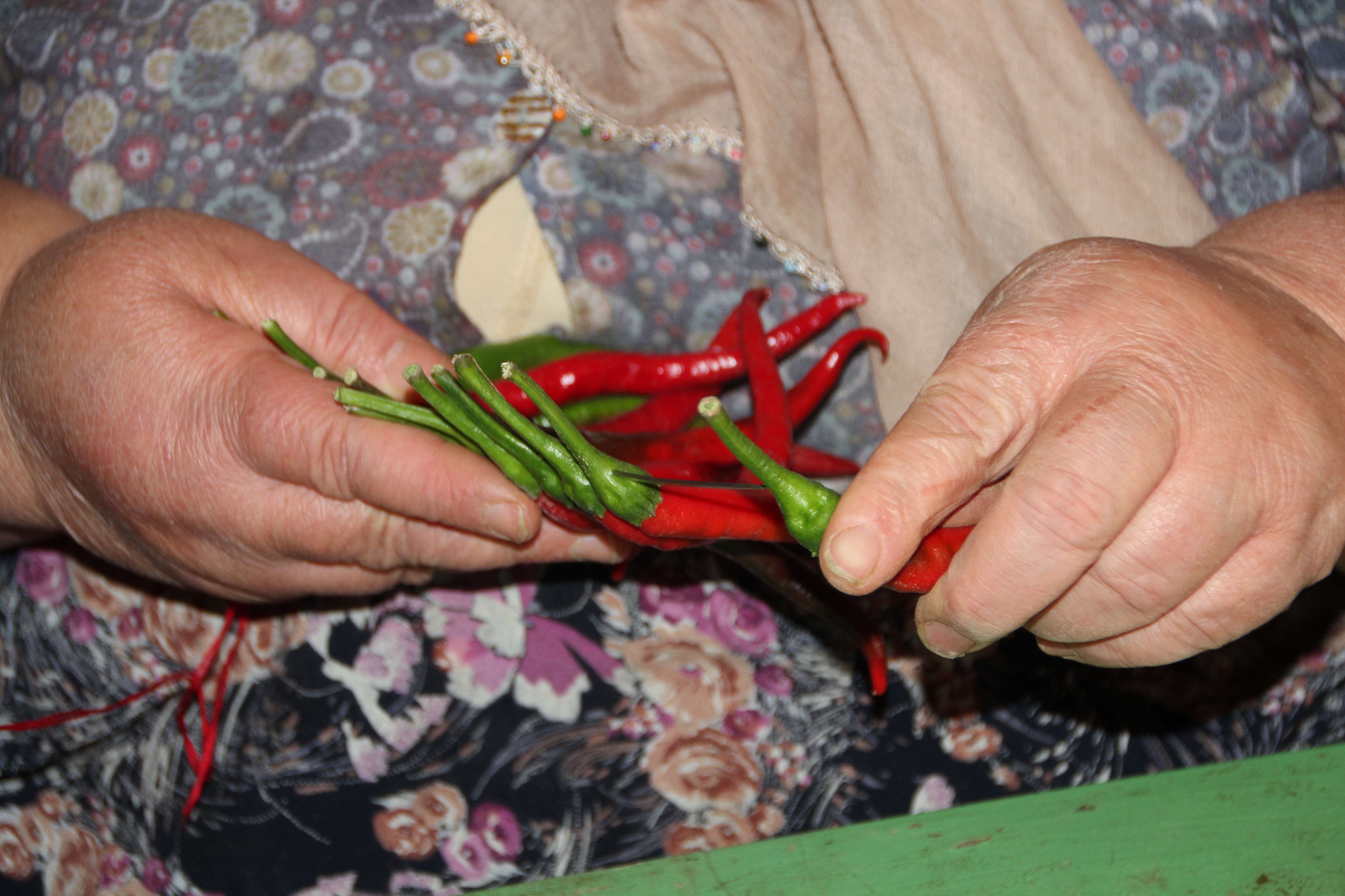 152 yıldır aynı tohumdan acı kırmızı biber üretip kurutuyorlar