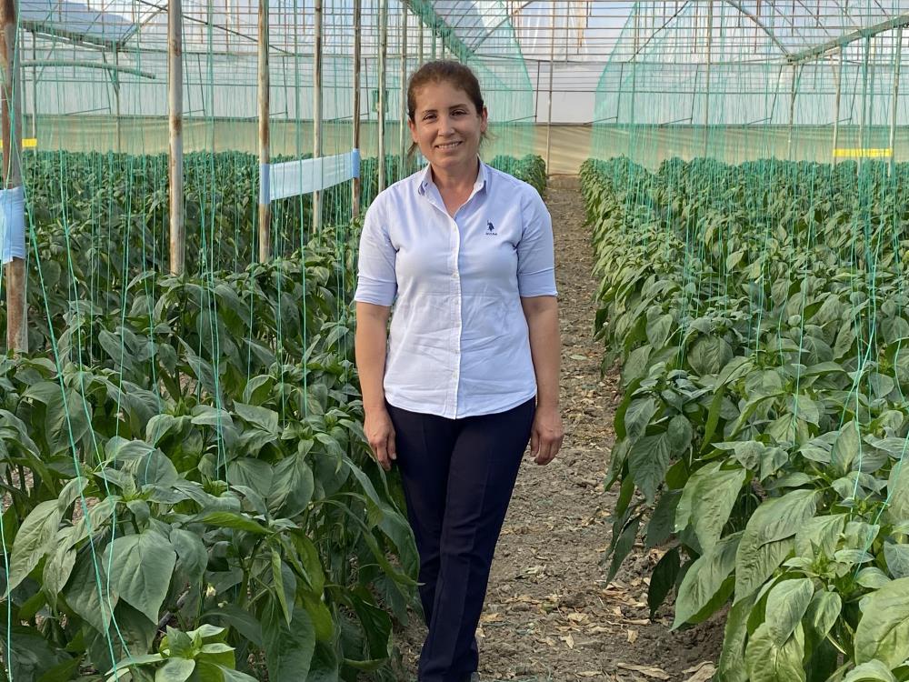 Antalya’dan çıkıyor, Balkan, Rusya ve Avrupa ülkelerine ihraç ediliyor