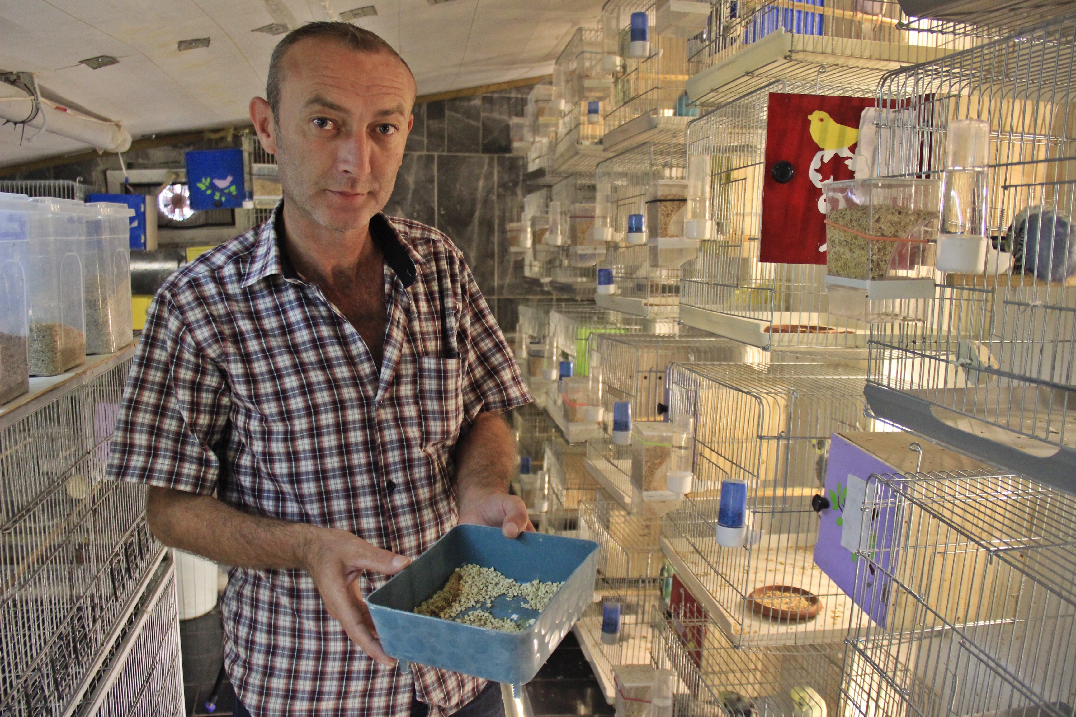 Alkol bağımlısıydı, bir muhabbet kuşu hayatını değiştirdi