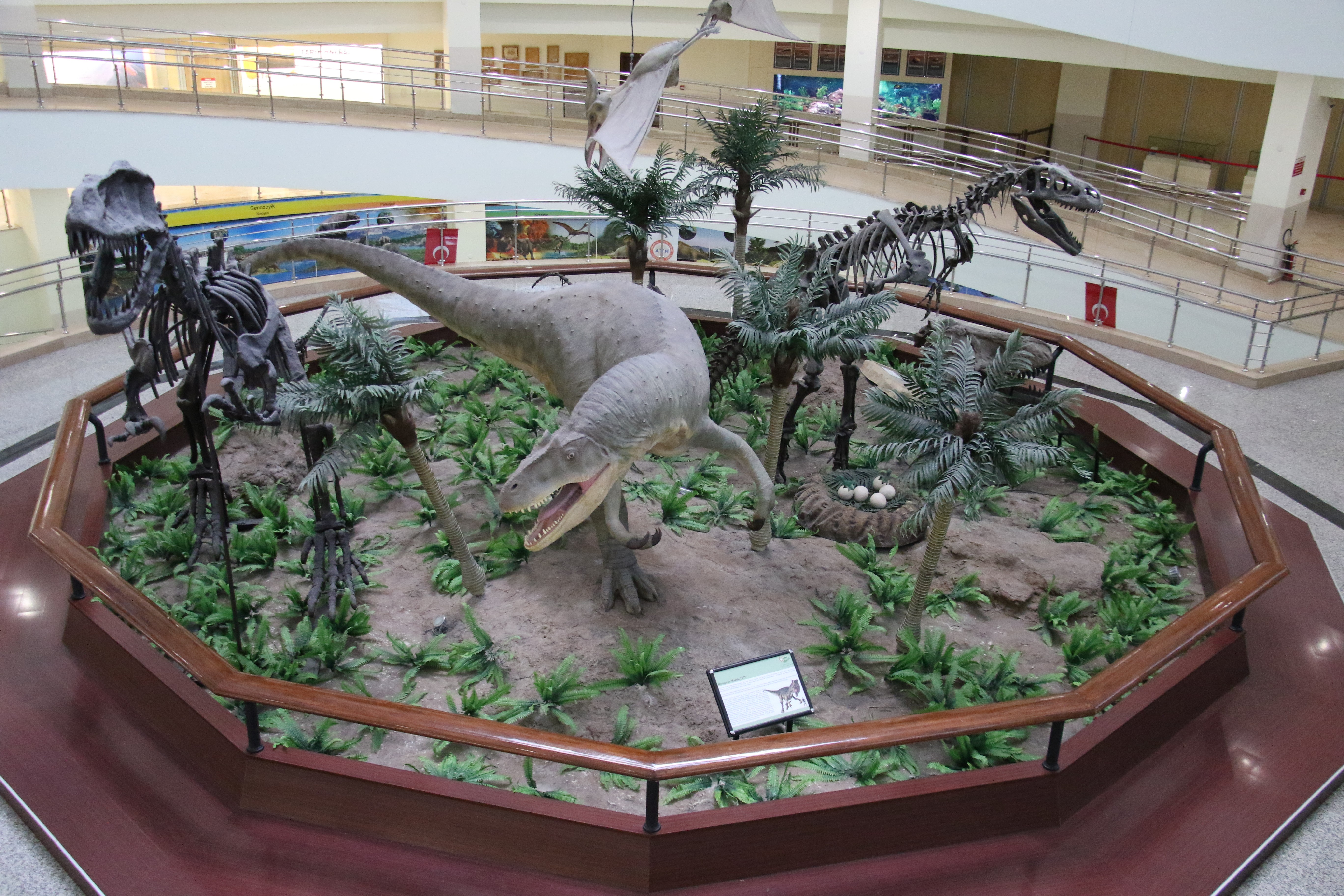 Türkiye’nin ilk Tabiat Tarihi Müzesi ile öğrenciler derslerde öğrendiklerini gerçek hayatta inceliyor