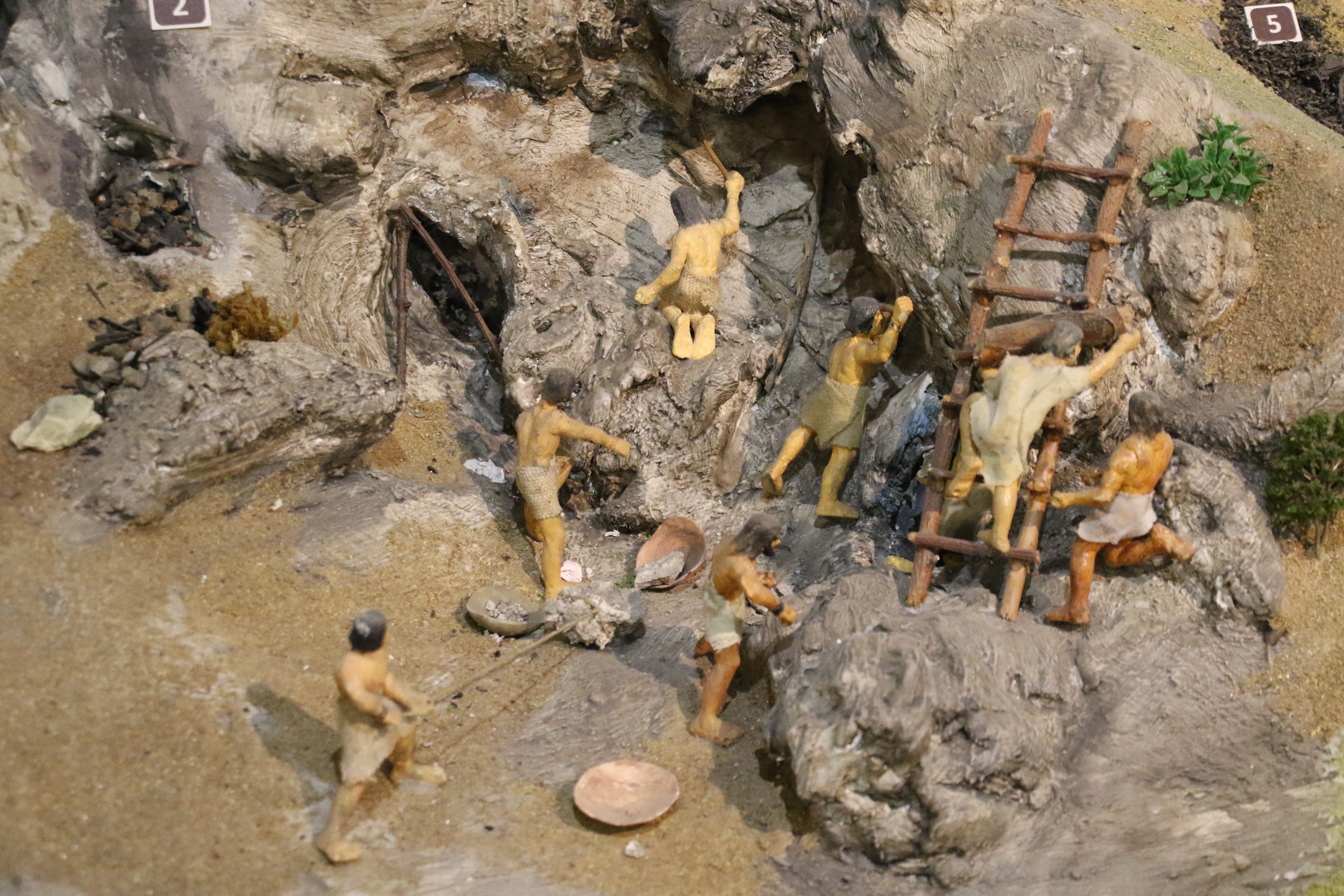 Türkiye’nin ilk Tabiat Tarihi Müzesi ile öğrenciler derslerde öğrendiklerini gerçek hayatta inceliyor