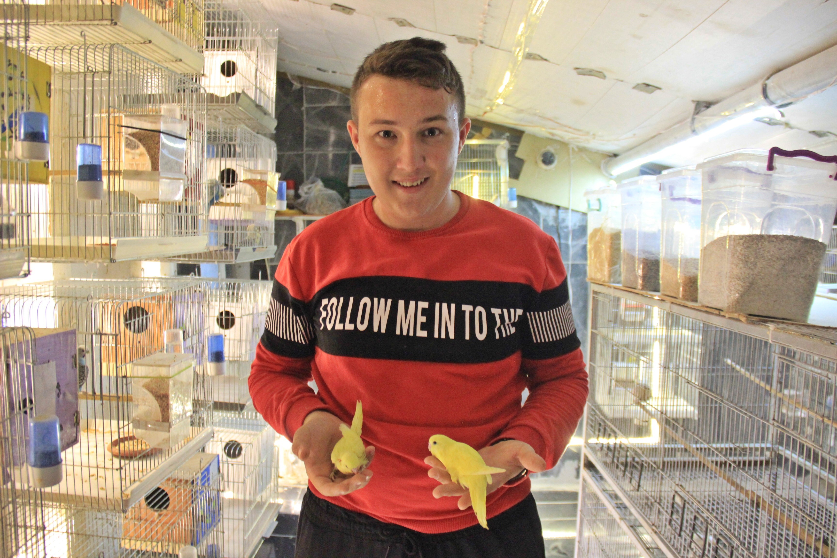 Alkol bağımlısıydı, bir muhabbet kuşu hayatını değiştirdi