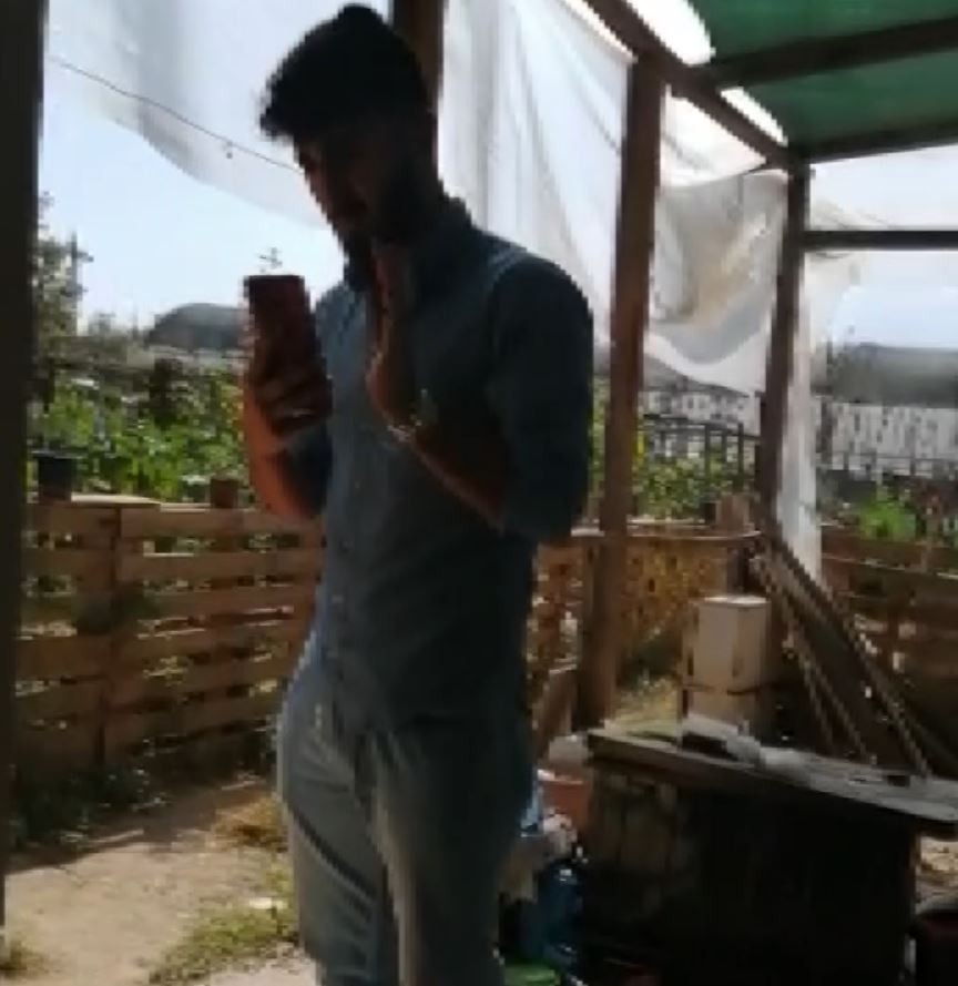 Antalya’da ilginç ‘ejder meyvesi’ tartışması karakolda son buldu