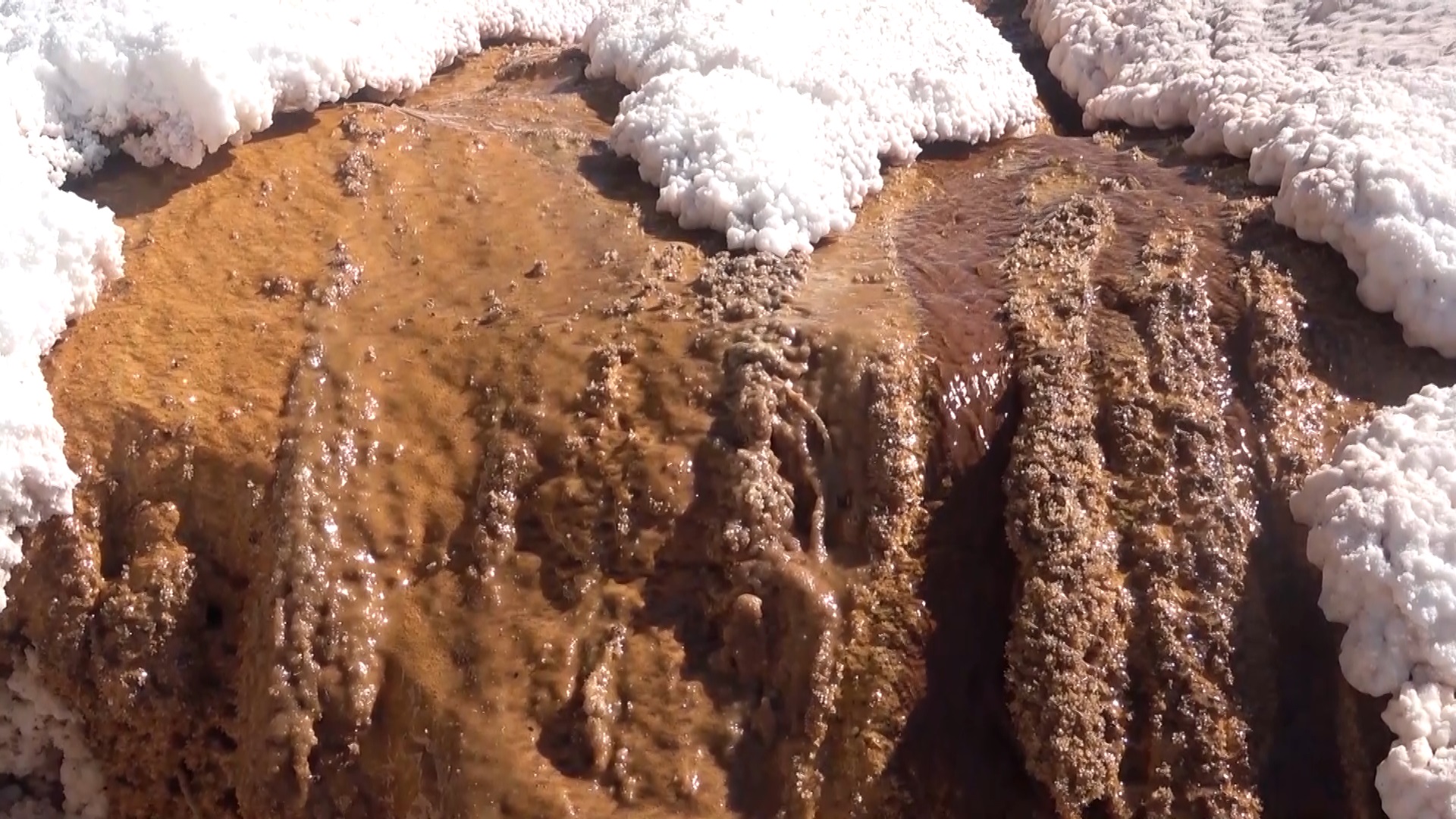 Baba-kız keşfetti, dünyada sadece üç kaynakta var