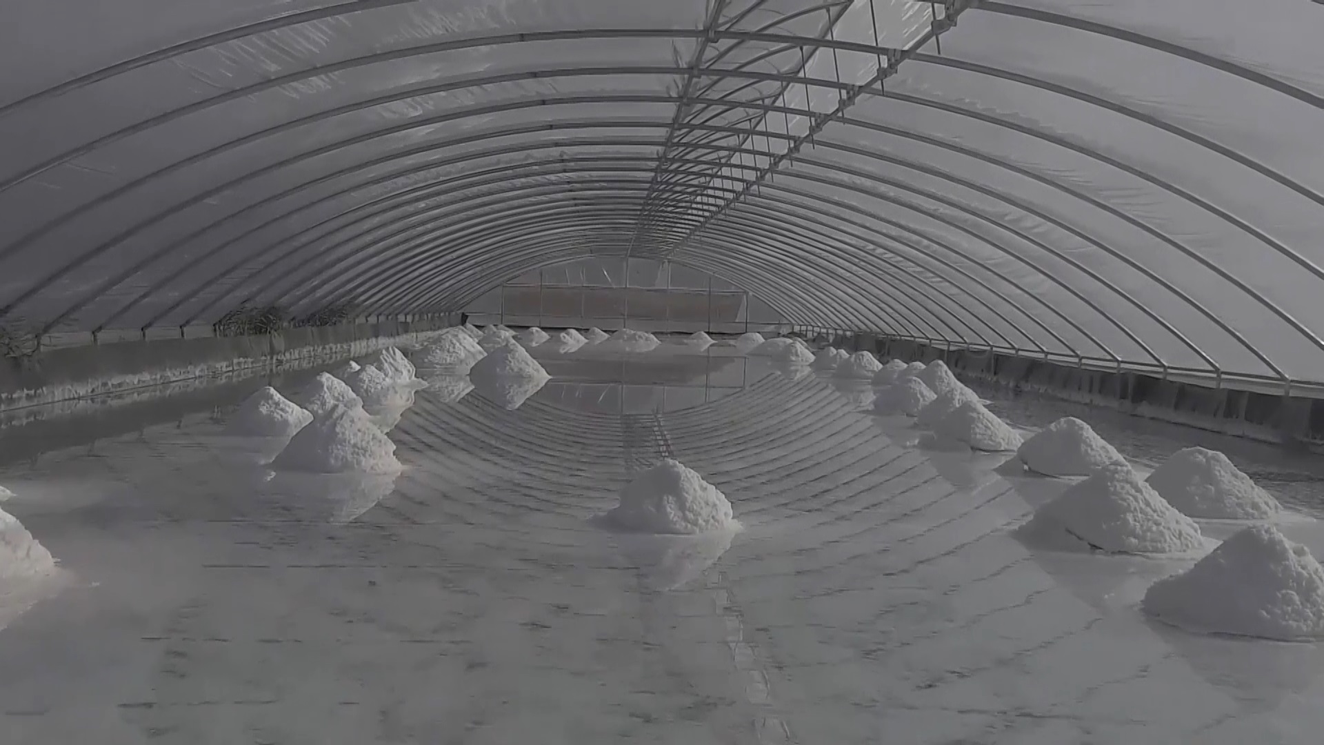 Baba-kız keşfetti, dünyada sadece üç kaynakta var