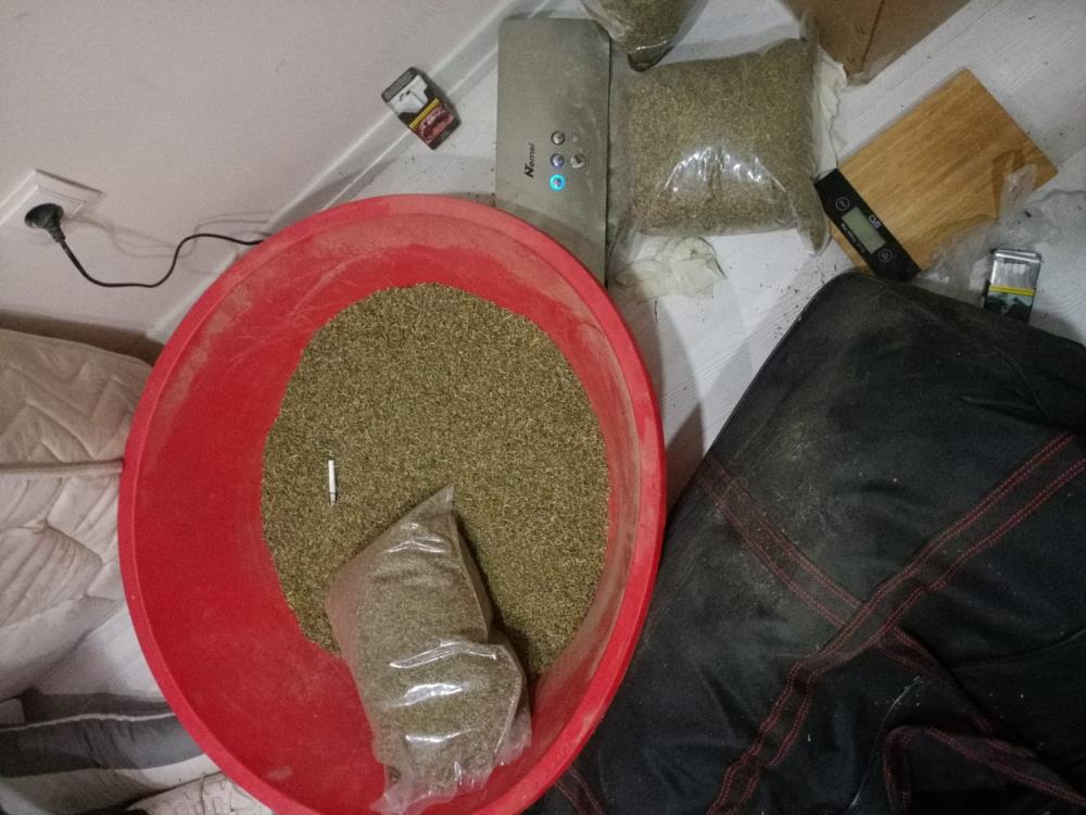 İstanbul’da evinde 55 kilogram bonzai bulunan “Çaki” lakaplı zehir taciri yakalandı