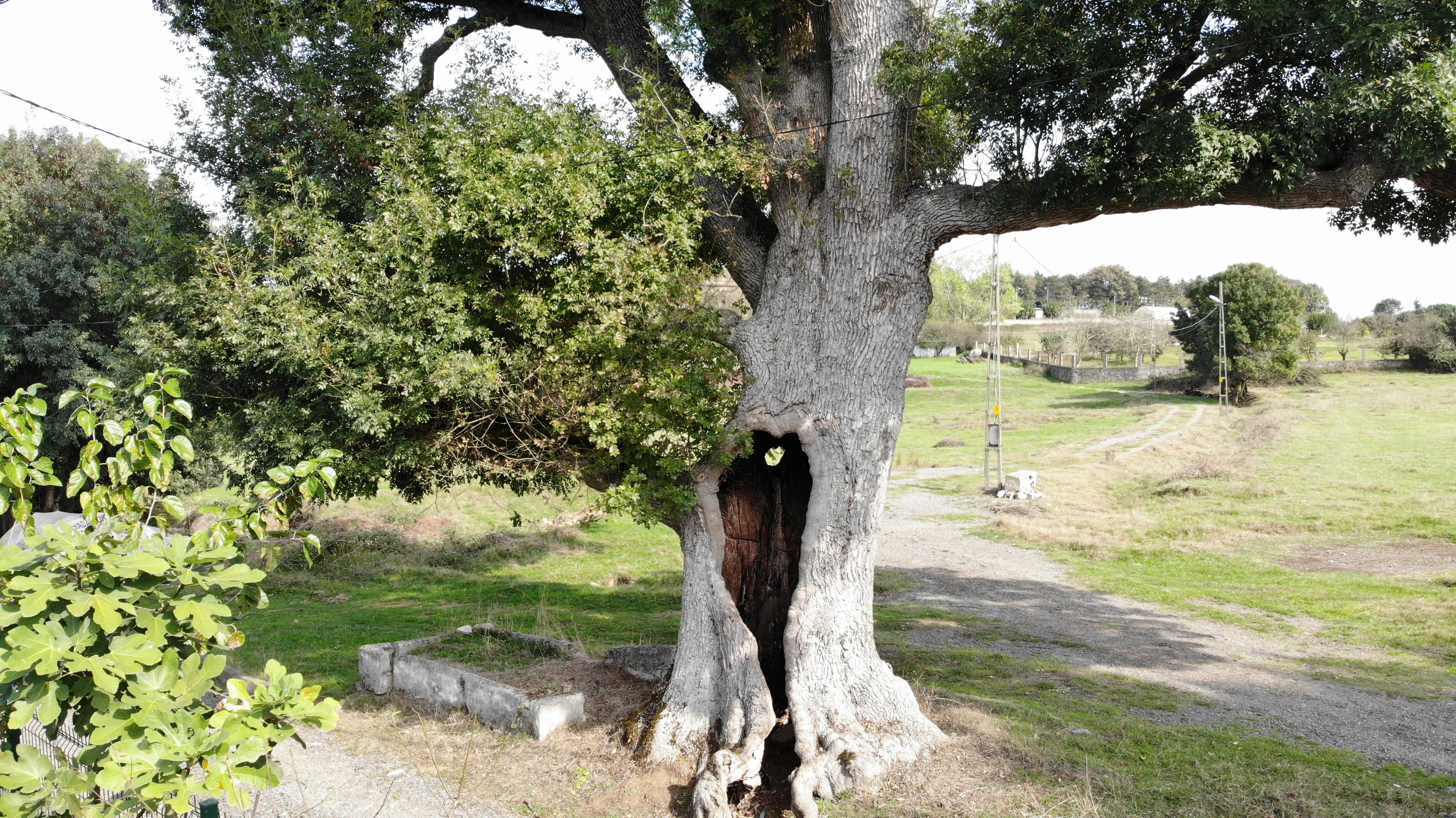 Pendik’te adını Kurt askerlerden alan Kurtdoğmuş köyü tarihiyle dikkat çekiyor