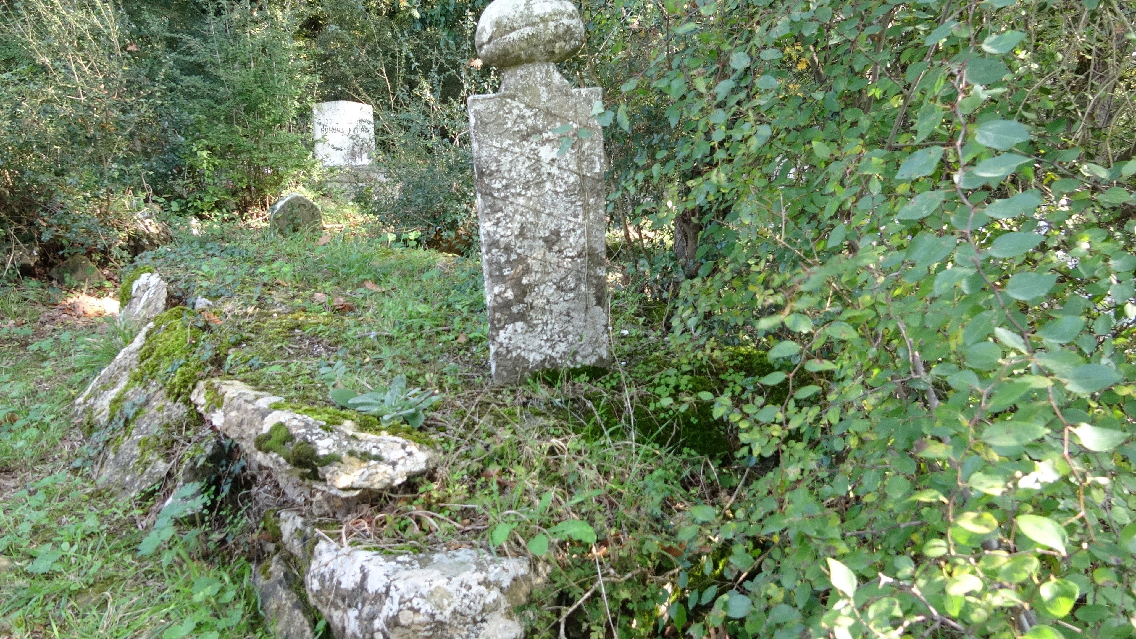 Pendik’te adını Kurt askerlerden alan Kurtdoğmuş köyü tarihiyle dikkat çekiyor