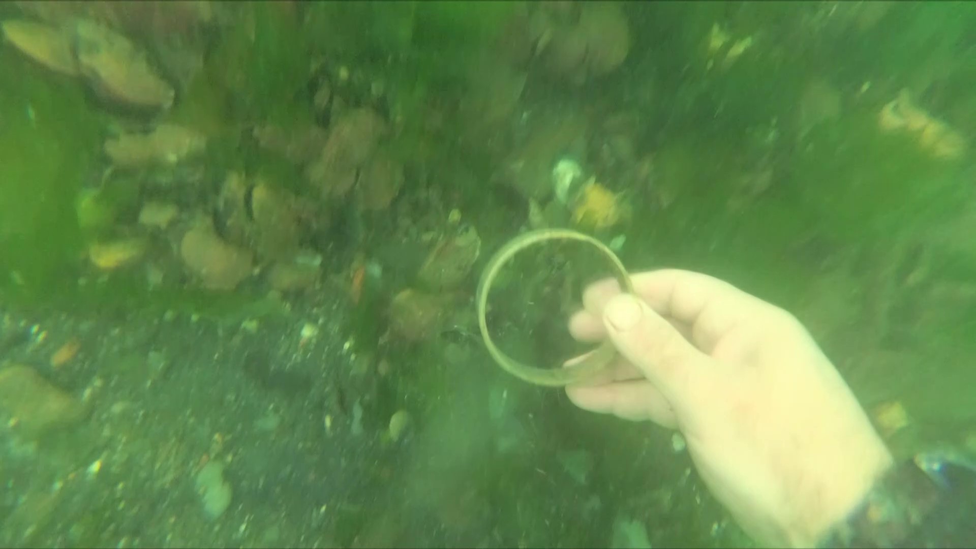 Bekar Deresi’nde buz dağının görünmeyen kısmı: su altı kirliliği