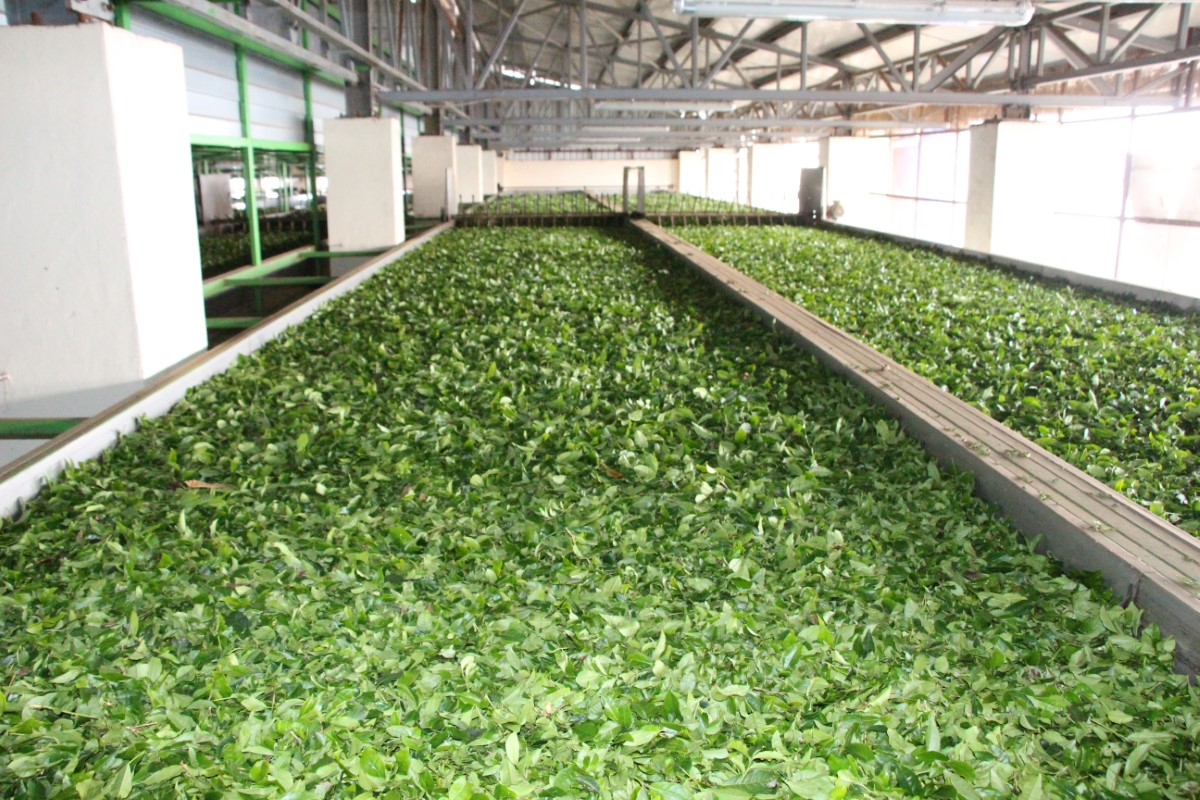 24 yaşındaki fabrika sahibi Yasin Sönmez: 'Gençlerimizin en büyük problemi iş beğenmeme'