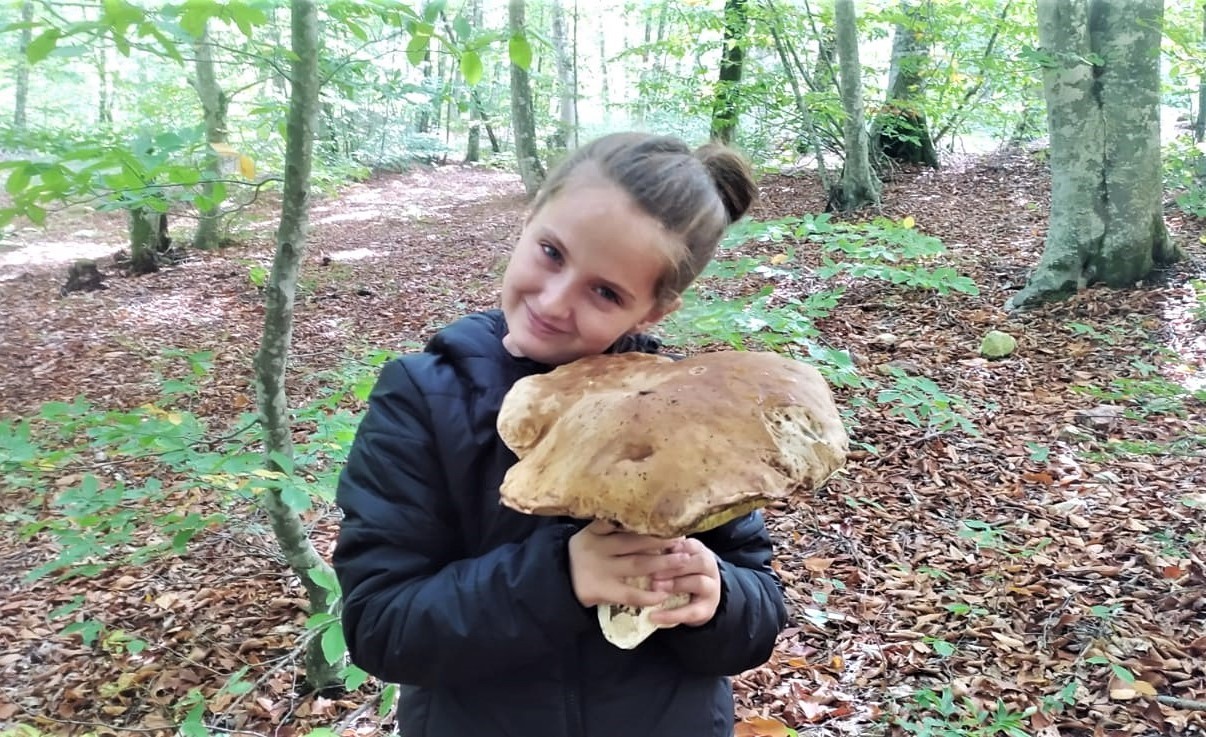 Mantar avcısı minik kız 2 kiloluk dev mantar buldu