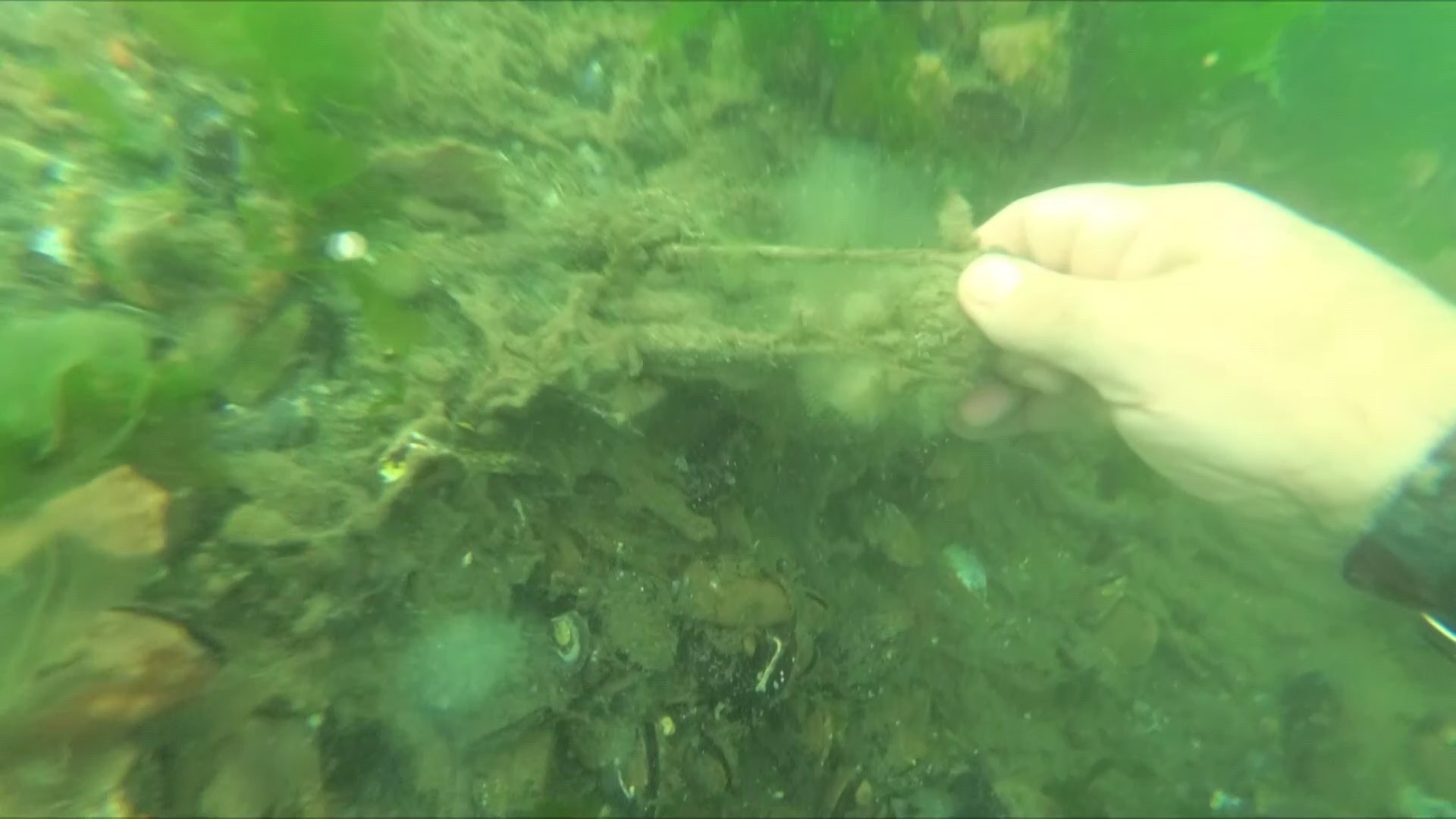 Bekar Deresi’nde buz dağının görünmeyen kısmı: su altı kirliliği