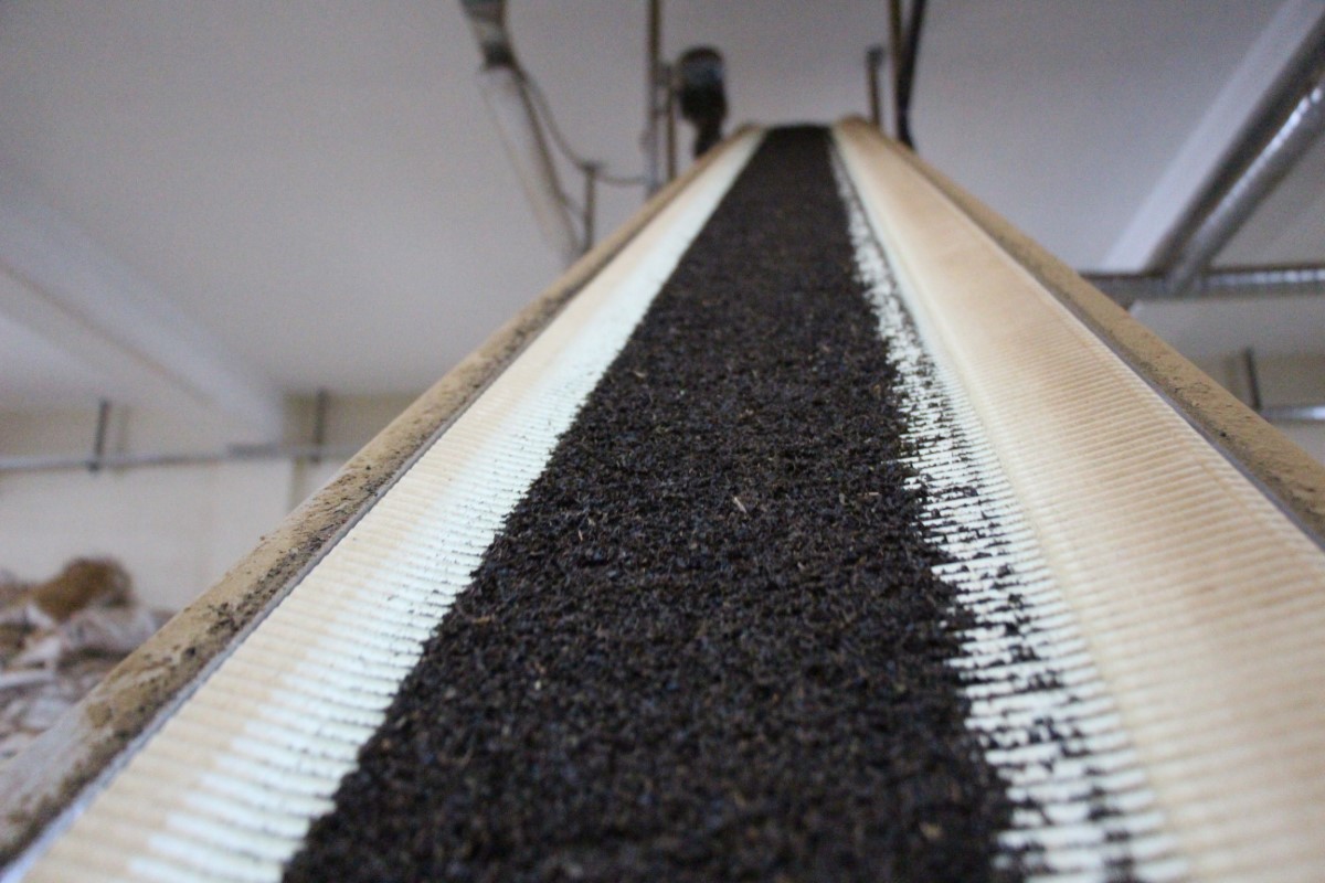 24 yaşındaki fabrika sahibi Yasin Sönmez: 'Gençlerimizin en büyük problemi iş beğenmeme'