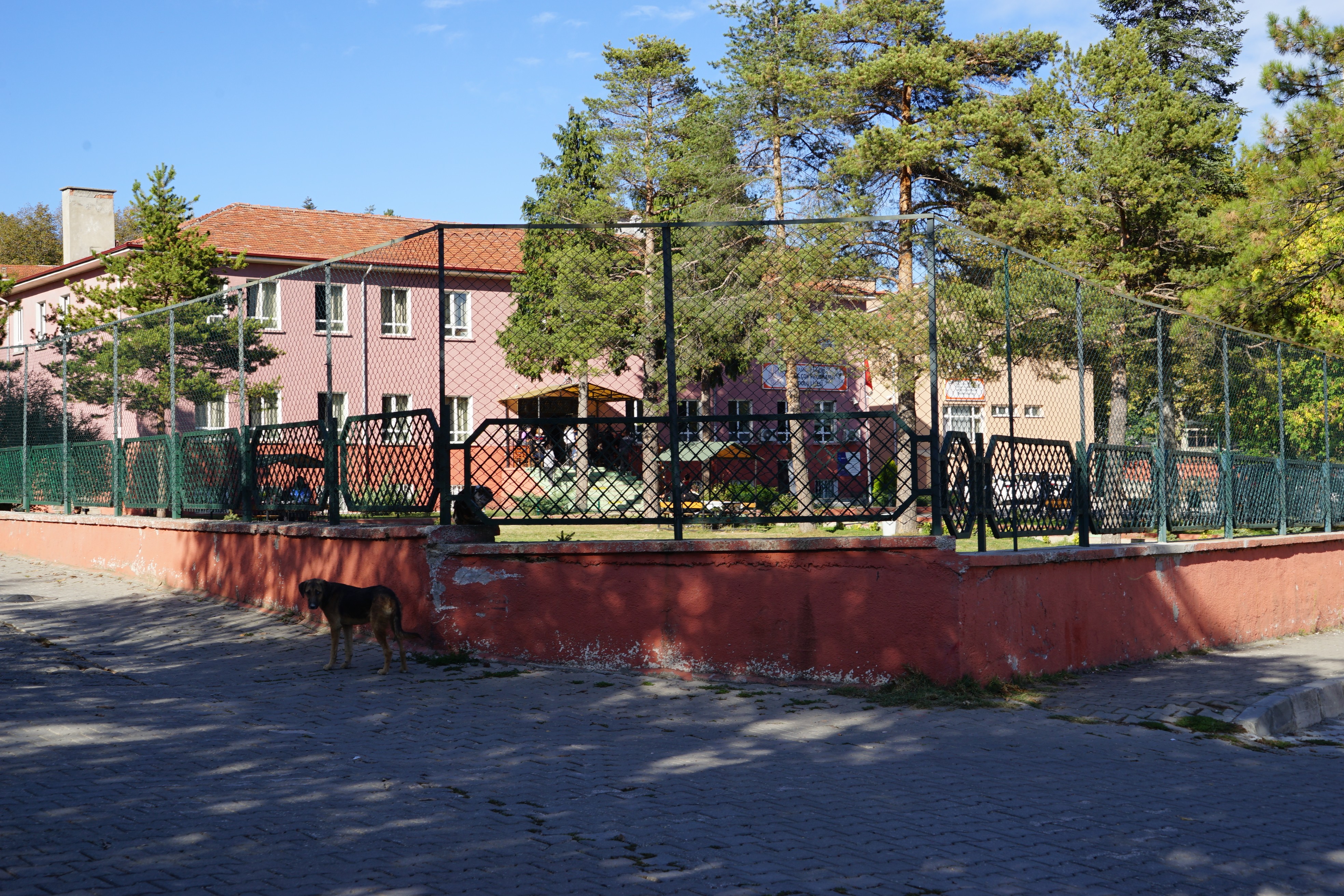 Köpeğin saldırısına uğrayan 3 yaşındaki çocuk ölümden döndü