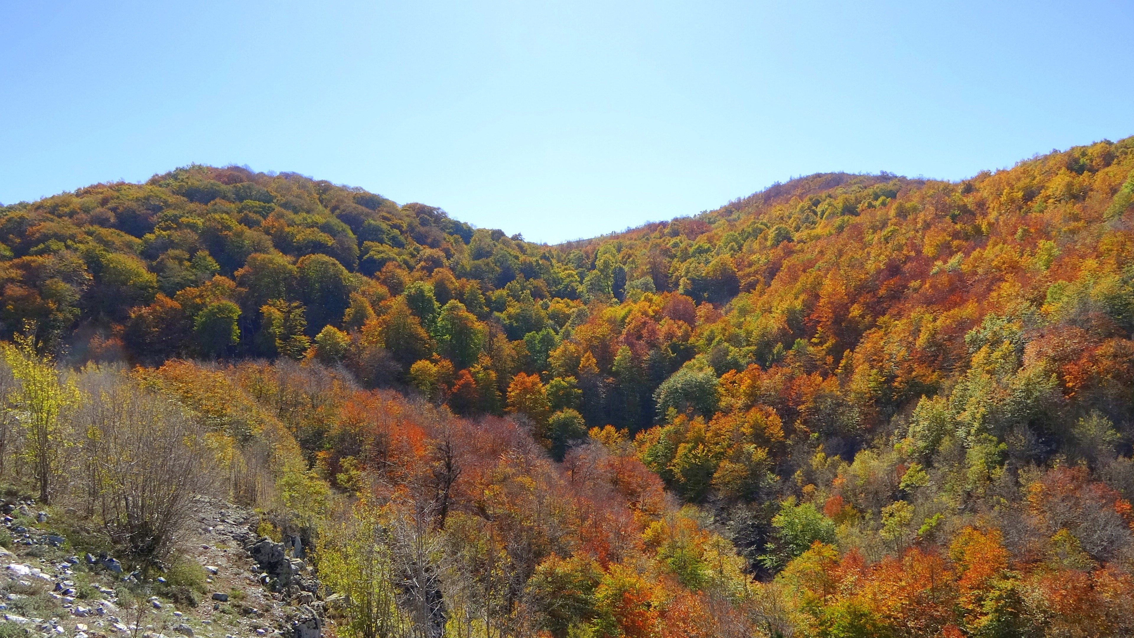 Dumanlı Yaylası’nda renk cümbüşü