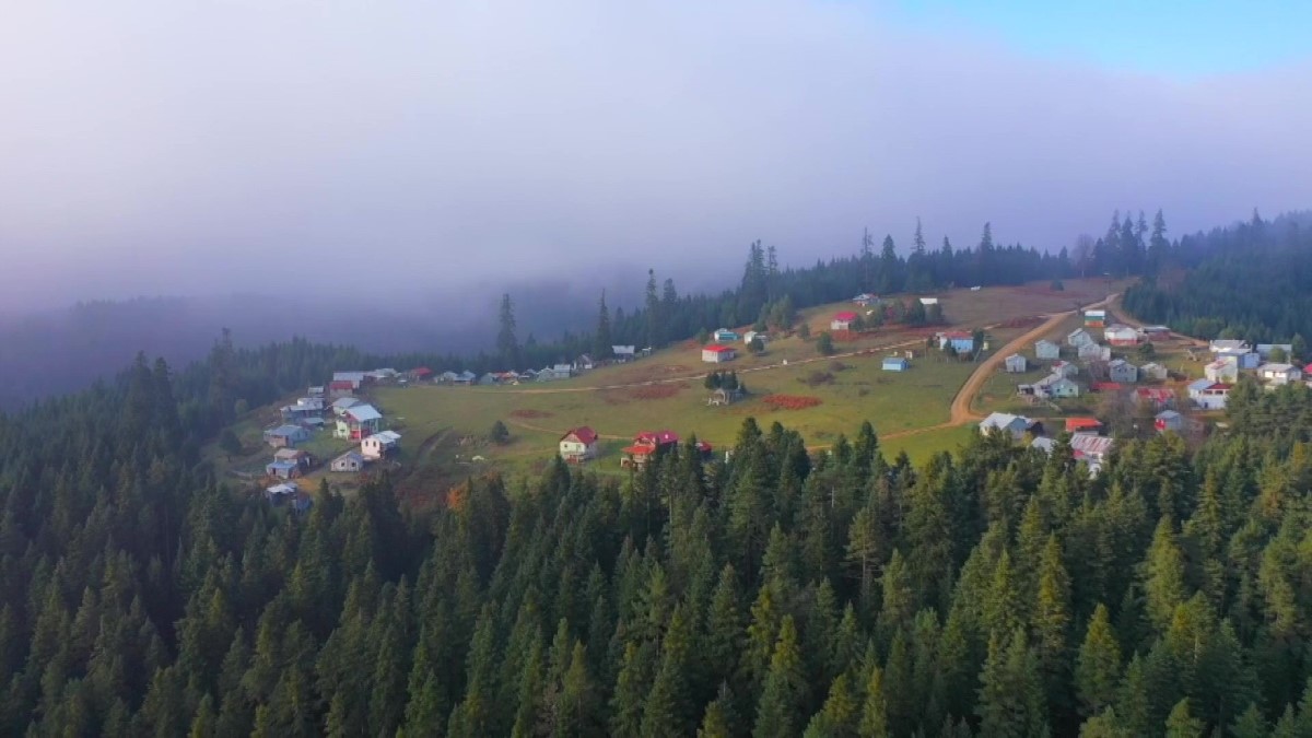 Sakarca Yaylası'nda siste hayran bırakan manzara