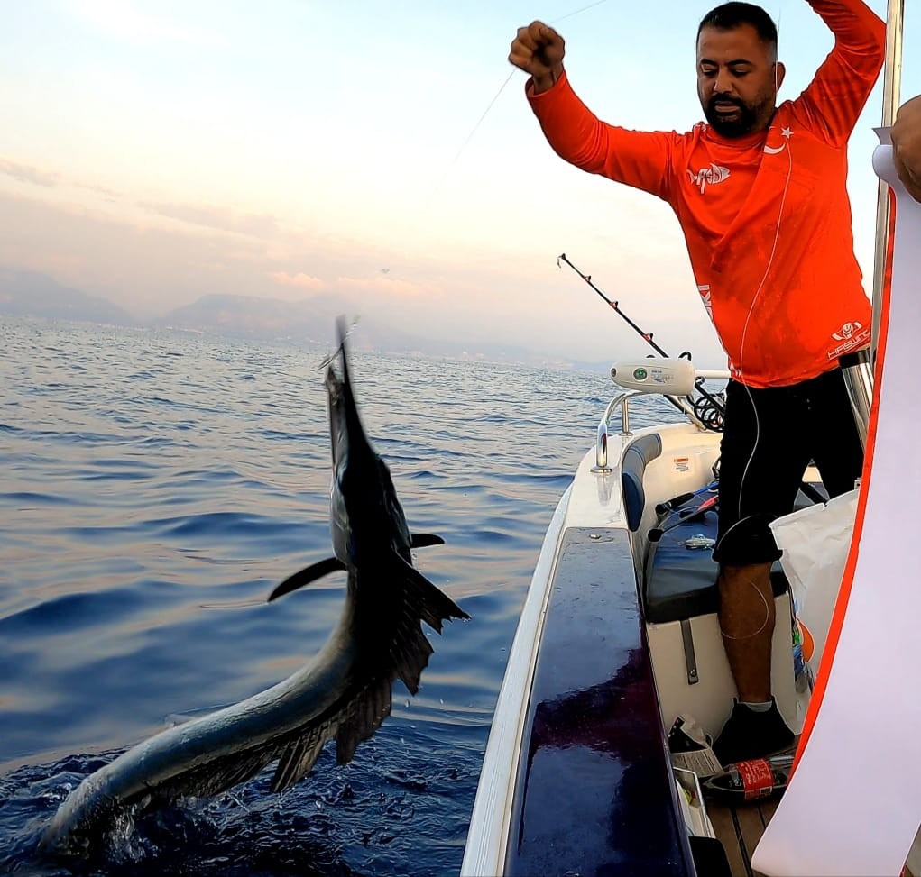 Akdeniz’de nadir görülen merlin balığını denize geri bıraktılar
