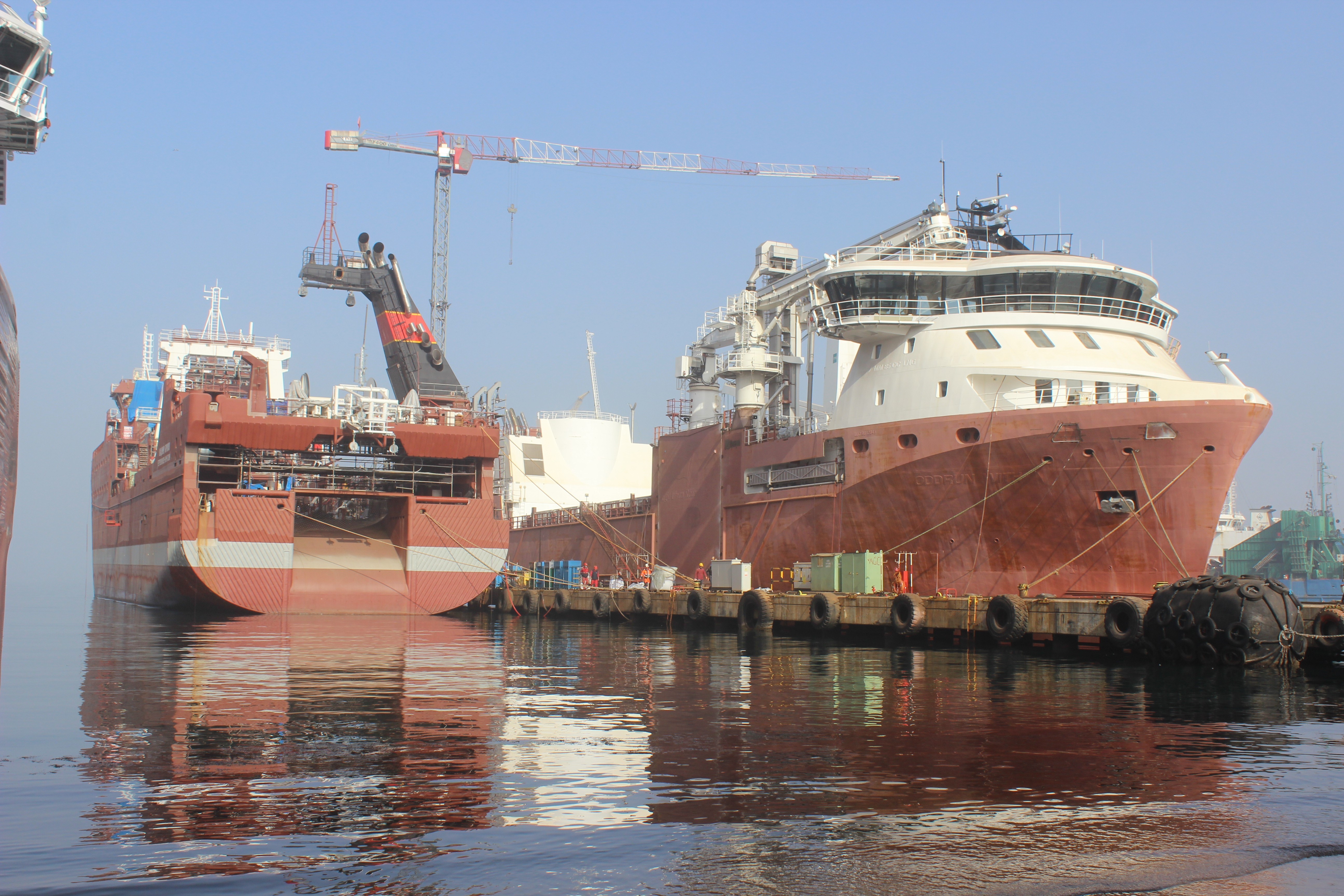 Dünyaya gemi yapıp yılda 150 milyon euro kazanıyor