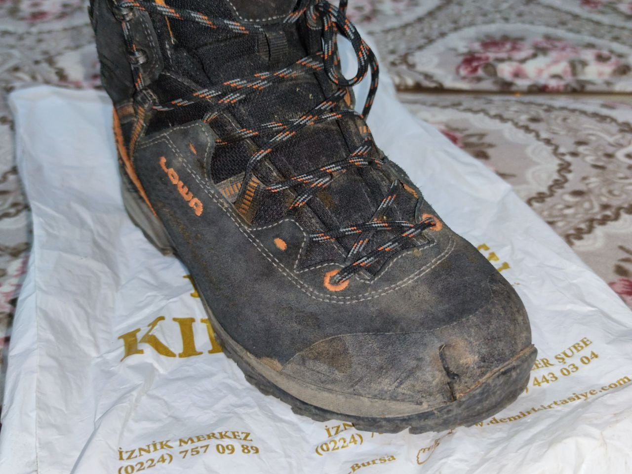 Bir ayı saldırısı da Bursa'dan