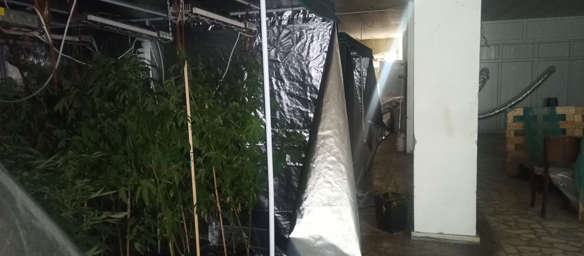 Kağıthane polisi sera kuran baba ve oğlunu yakaladı