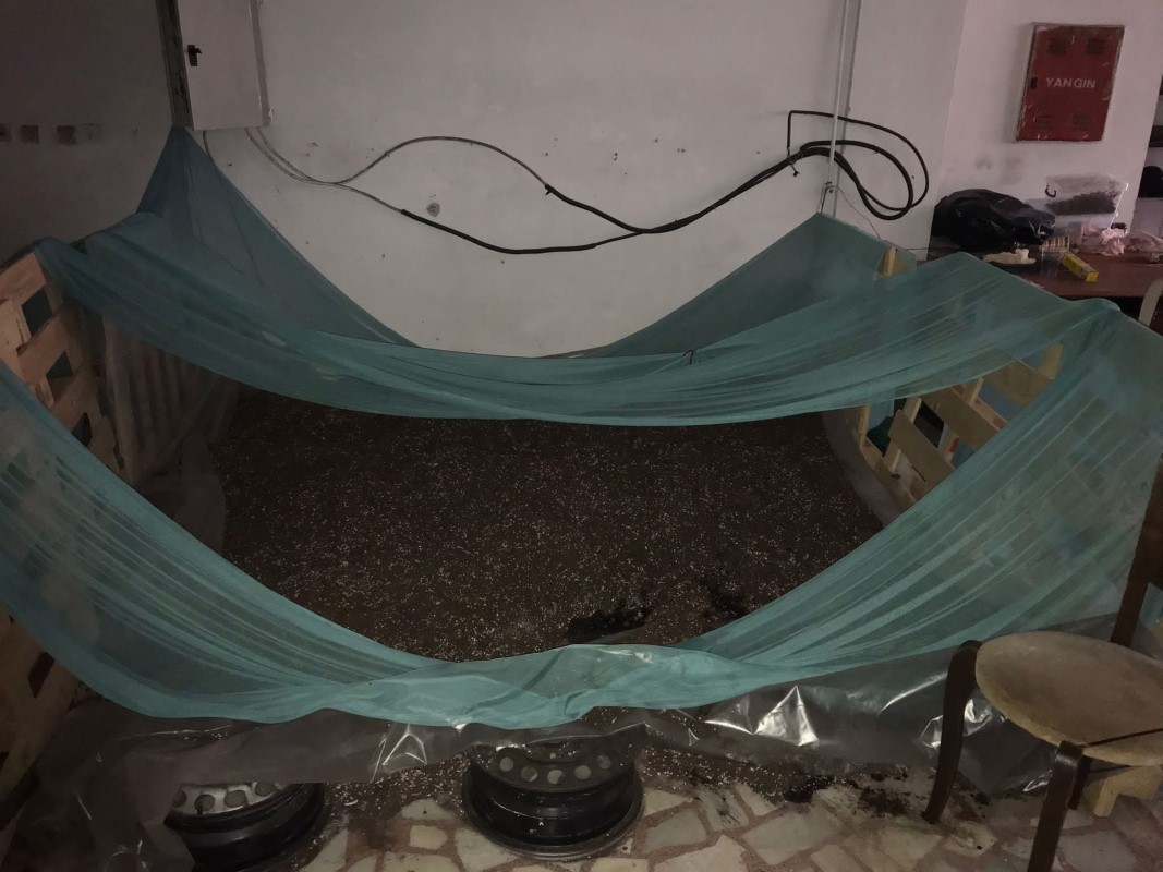 Kağıthane polisi sera kuran baba ve oğlunu yakaladı