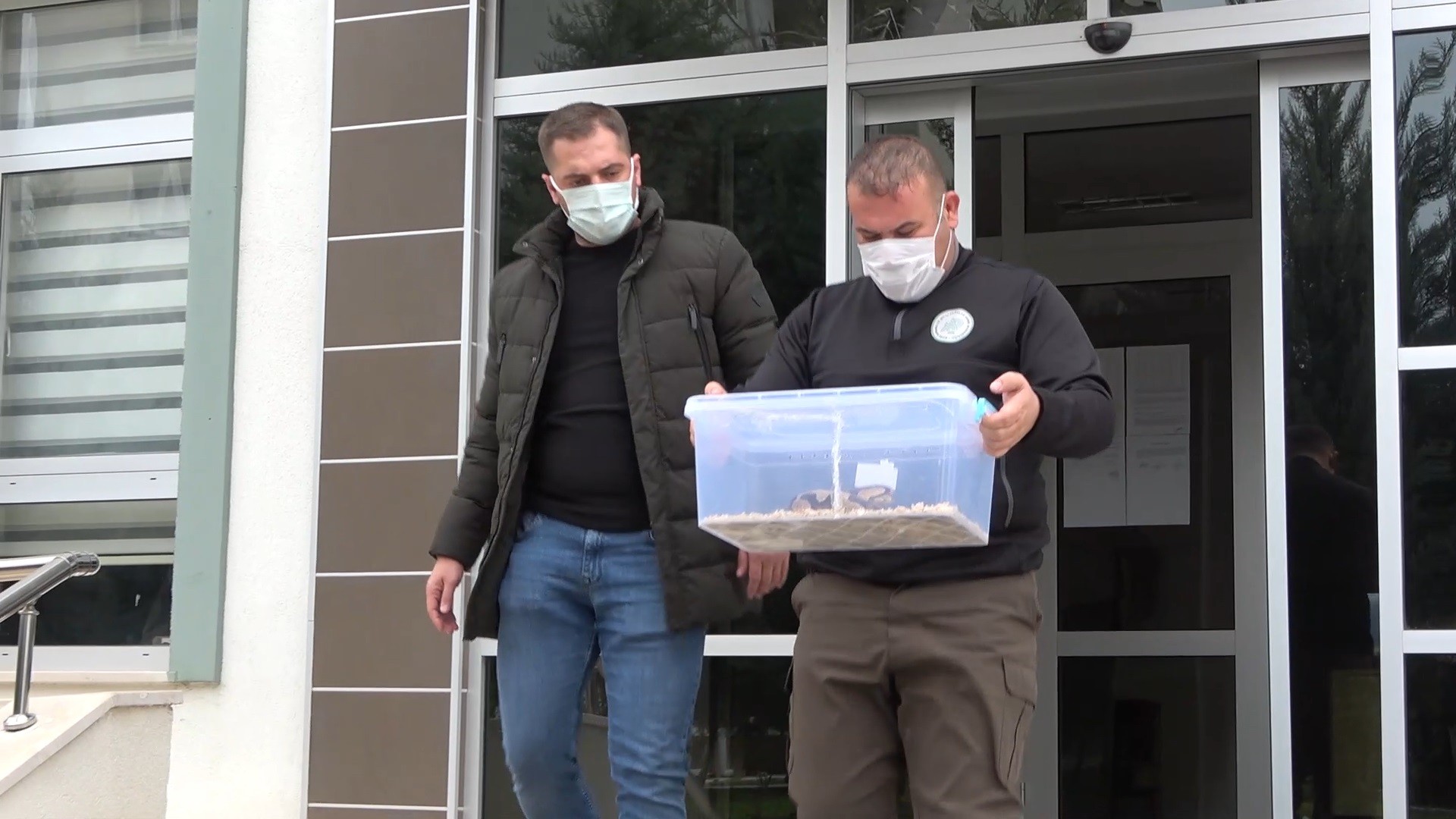 TikTok'tan paylaştı, 8 bin 692 lira ceza yedi