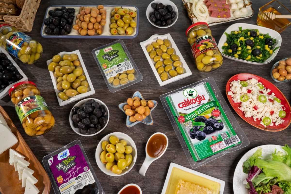 Siyah inci ‘zeytin’ dalından sofralara ulaştırılıyor