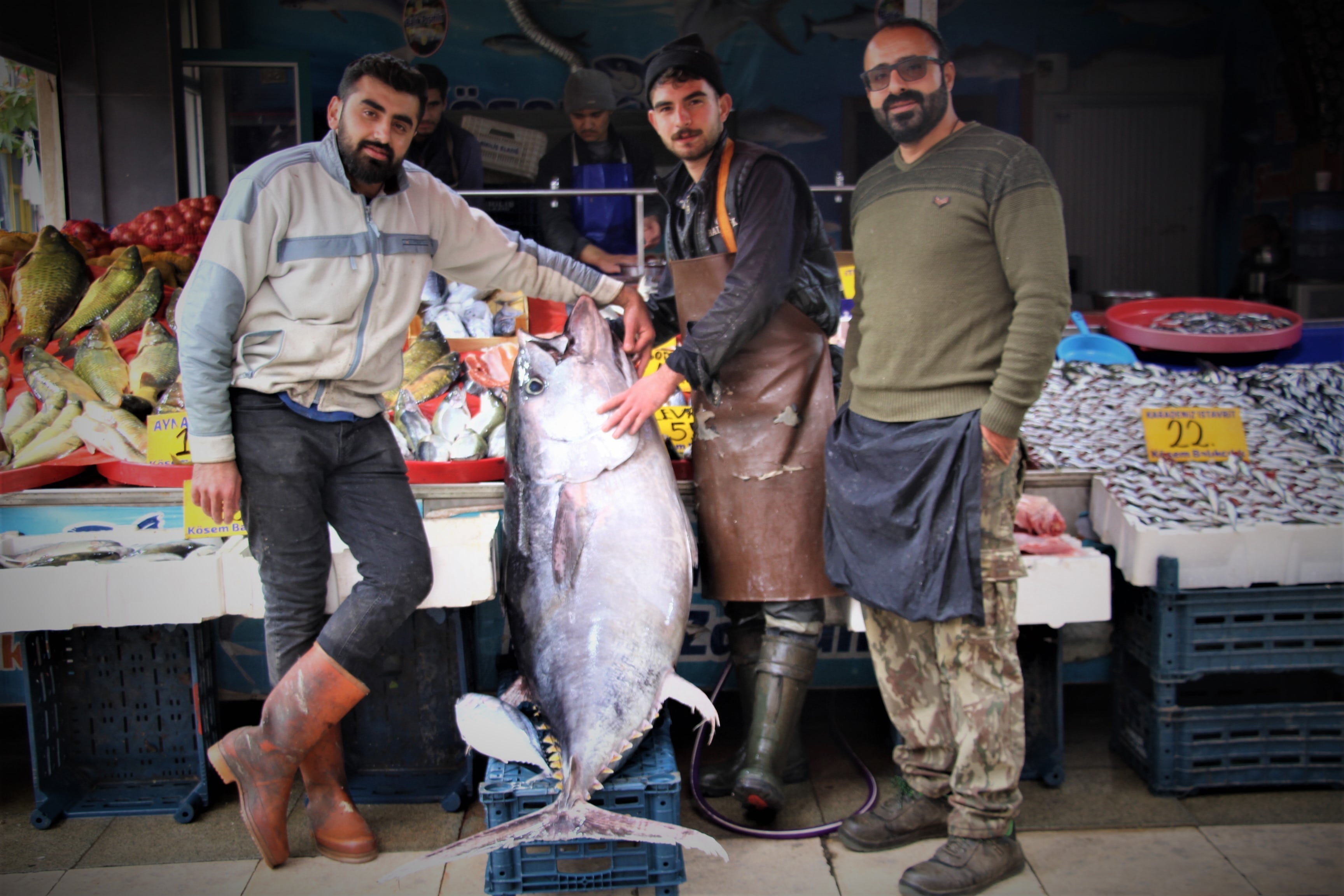 Dev orkinos görenleri hayretler içinde bıraktı