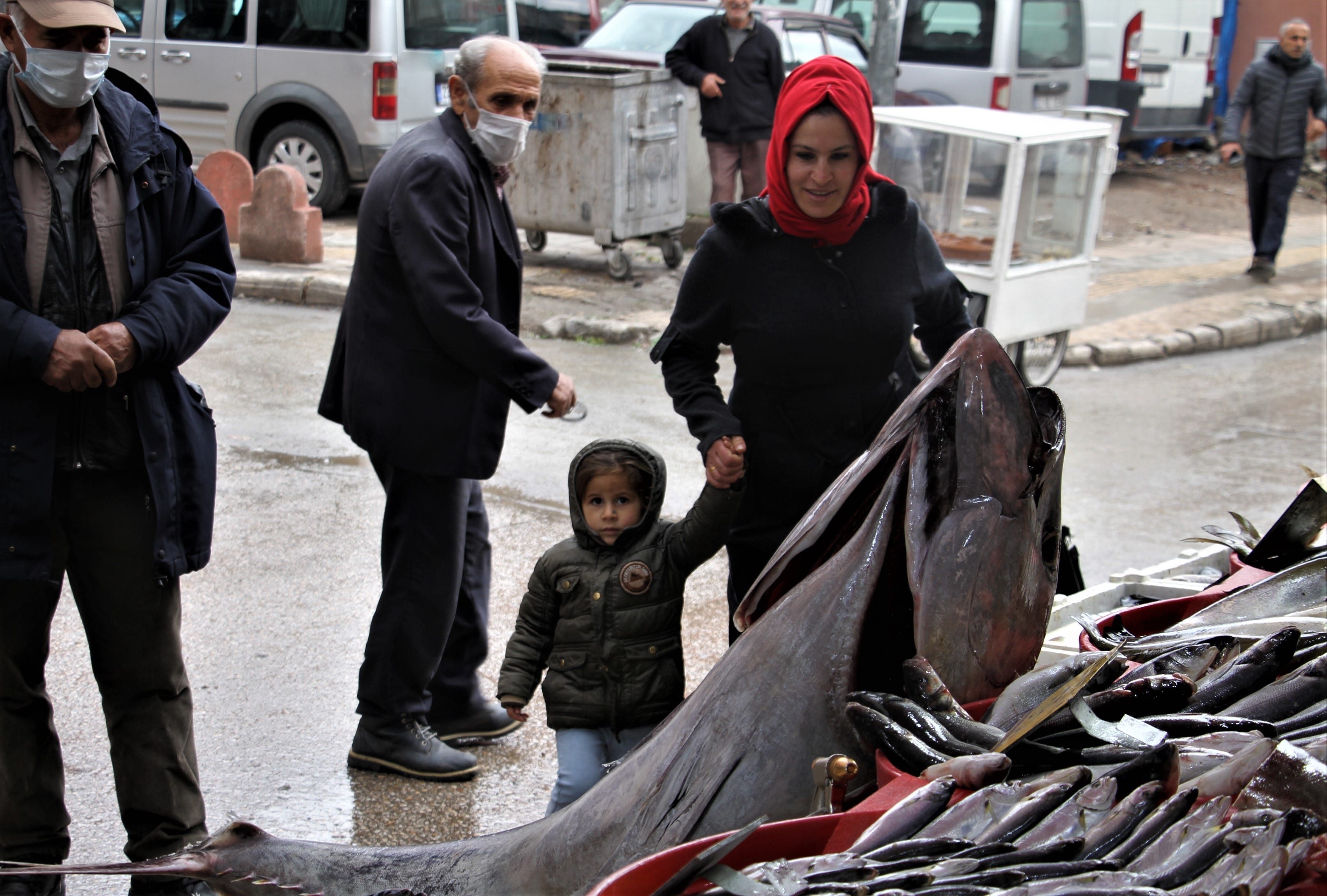 Dev orkinos görenleri hayretler içinde bıraktı