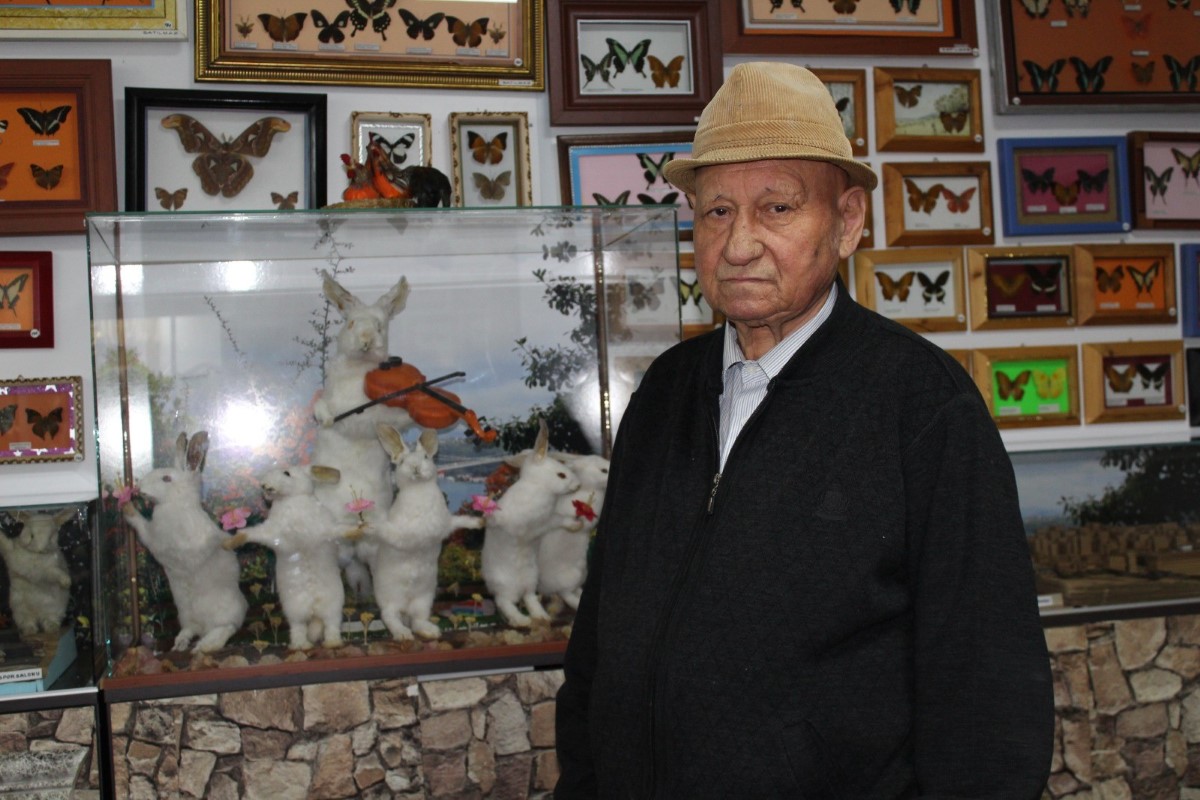 Ömrünü adadığı tahnit sanatı ile ölü hayvanları yaşatıyor