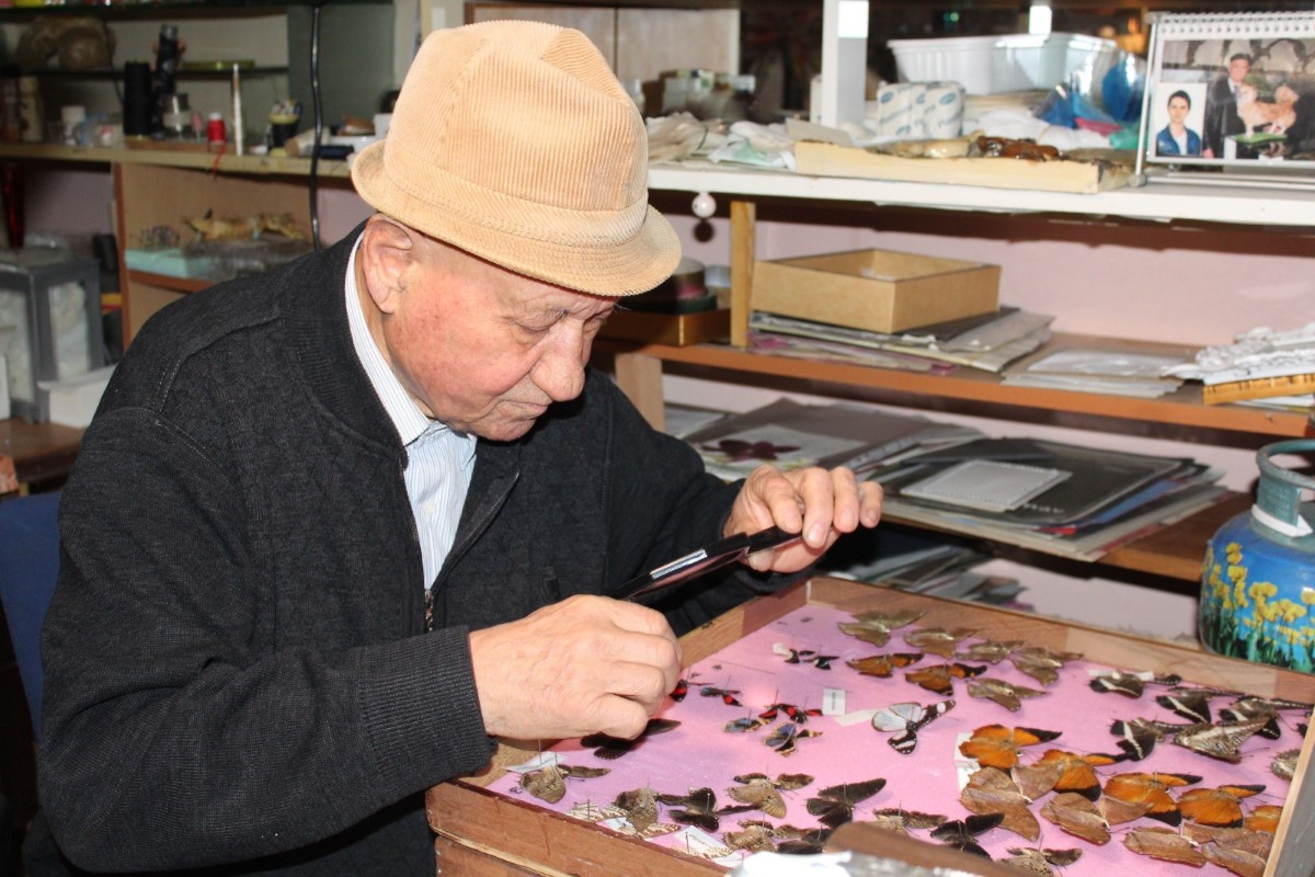 Ömrünü adadığı tahnit sanatı ile ölü hayvanları yaşatıyor