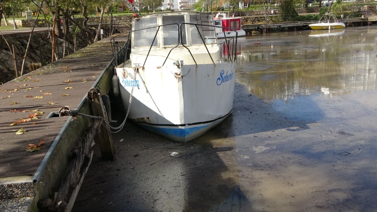 Manavgat yangını, küllerini 5 ay sonra sel sularıyla ırmağa döktü