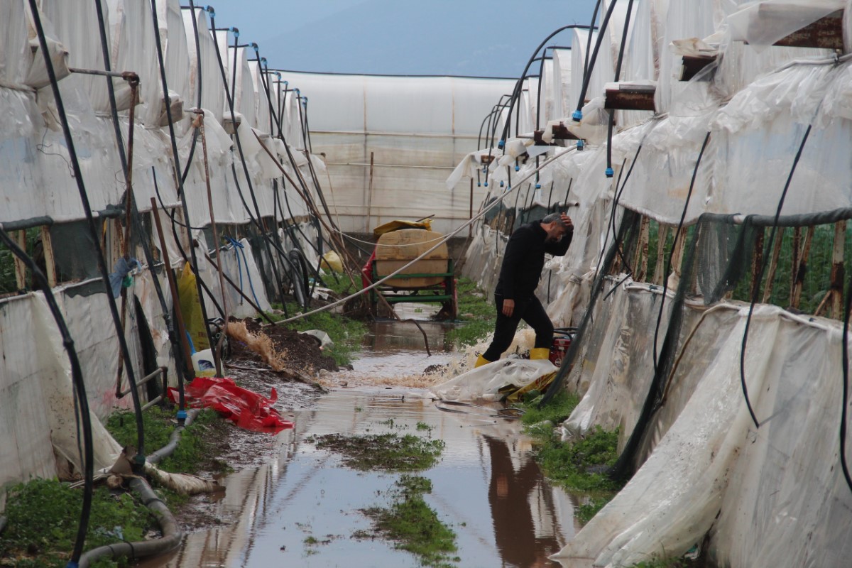 Kumluca'da sel yaklaşık 2 bin dönüm seraya zarar verdi