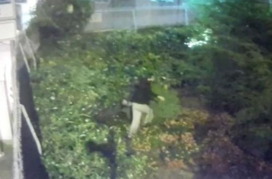 Ünlü şarkıcı Aleyna Tilki'nin evine girmeye çalışan saplantılı hayran kamerada